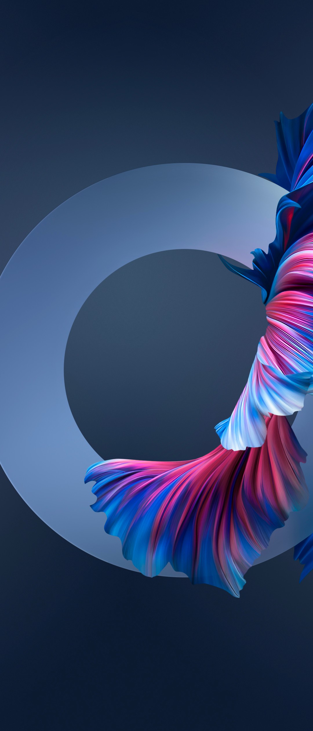 綺麗な青い魚の尾びれ Xperia 8 Lite Androidスマホ壁紙 待ち受け スマラン