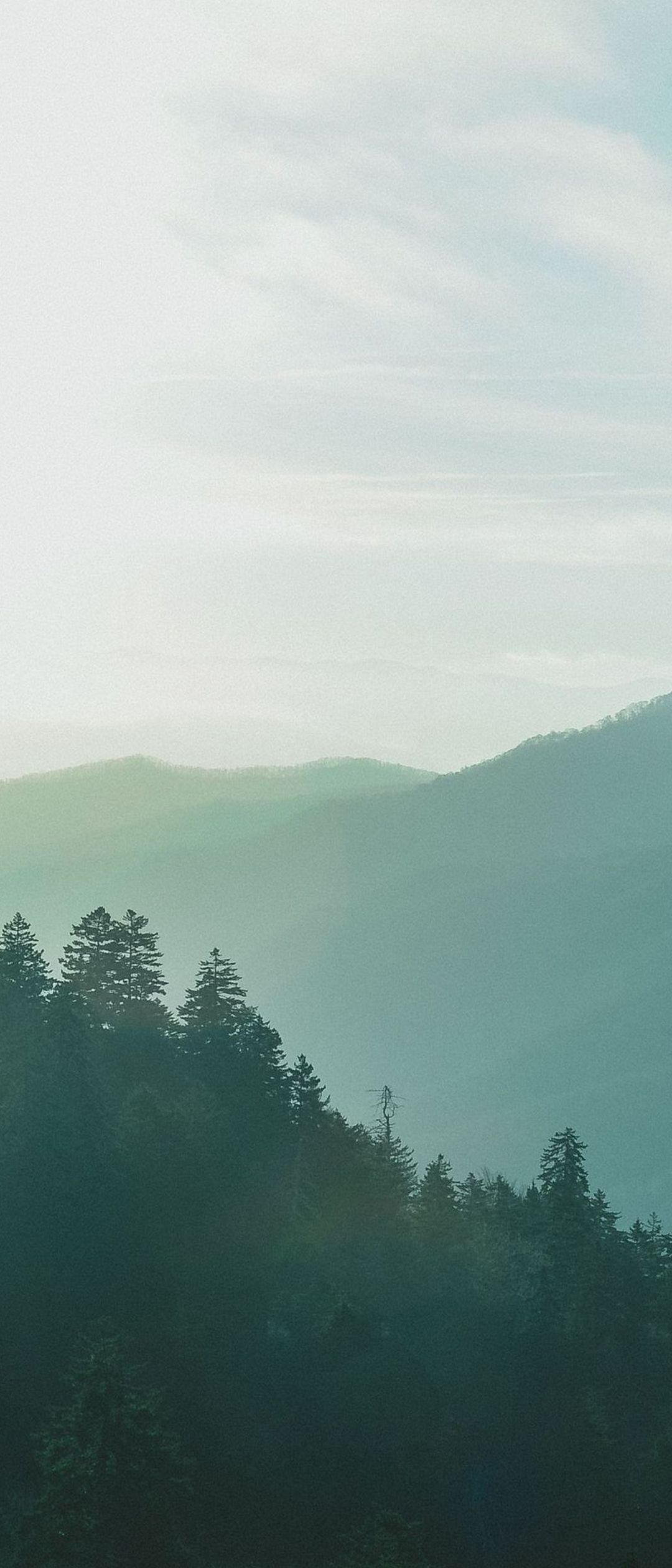 霧がかった森 山 森林 Xperia 5 Ii Androidスマホ壁紙 待ち受け スマラン