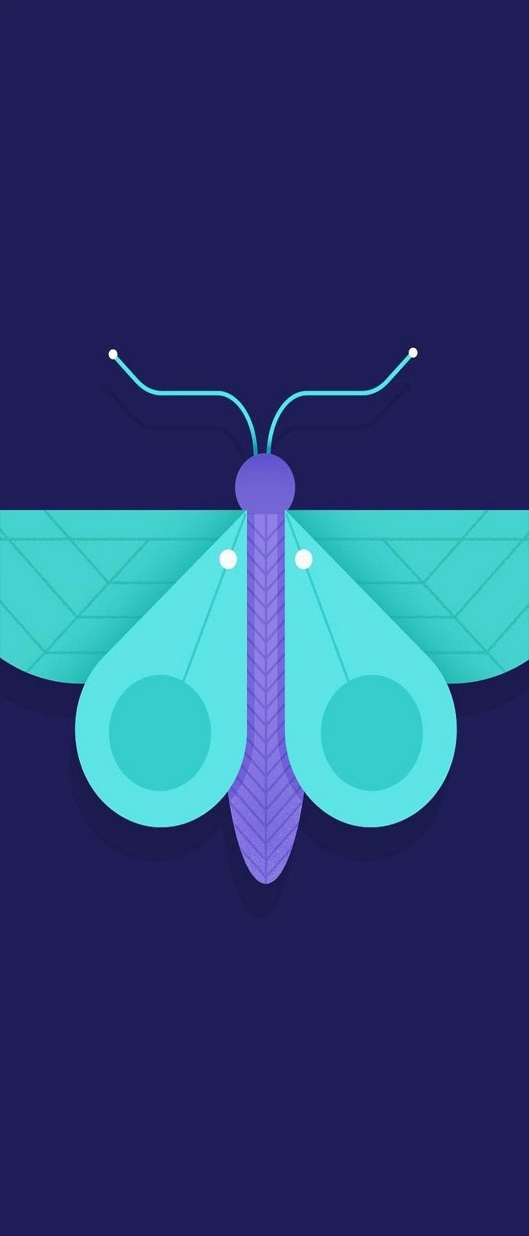 蝶のアイコン 紫と緑 Xperia 8 Androidスマホ壁紙 待ち受け スマラン