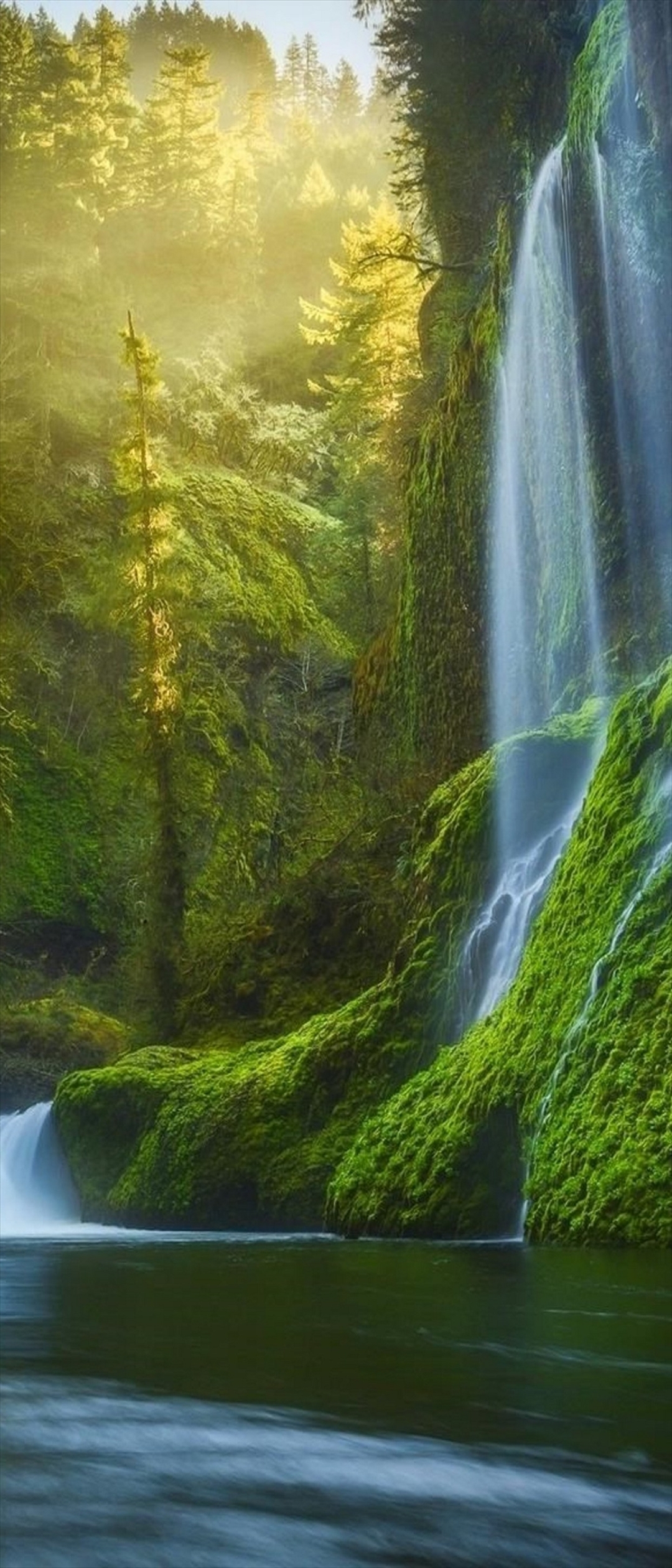 苔生した森 流れ落ちる滝 Xperia 10 Ii Androidスマホ壁紙 待ち受け スマラン