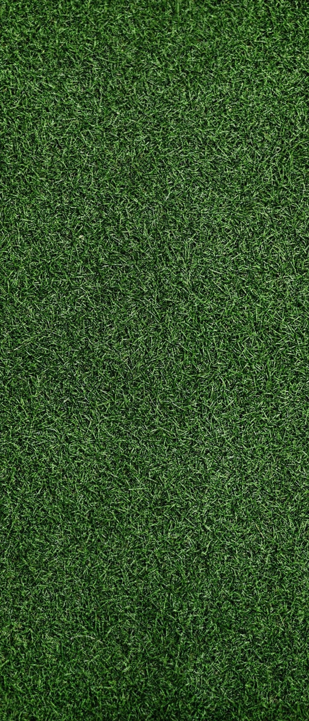 濃い緑の芝生 Xperia 5 Androidスマホ壁紙 待ち受け スマラン