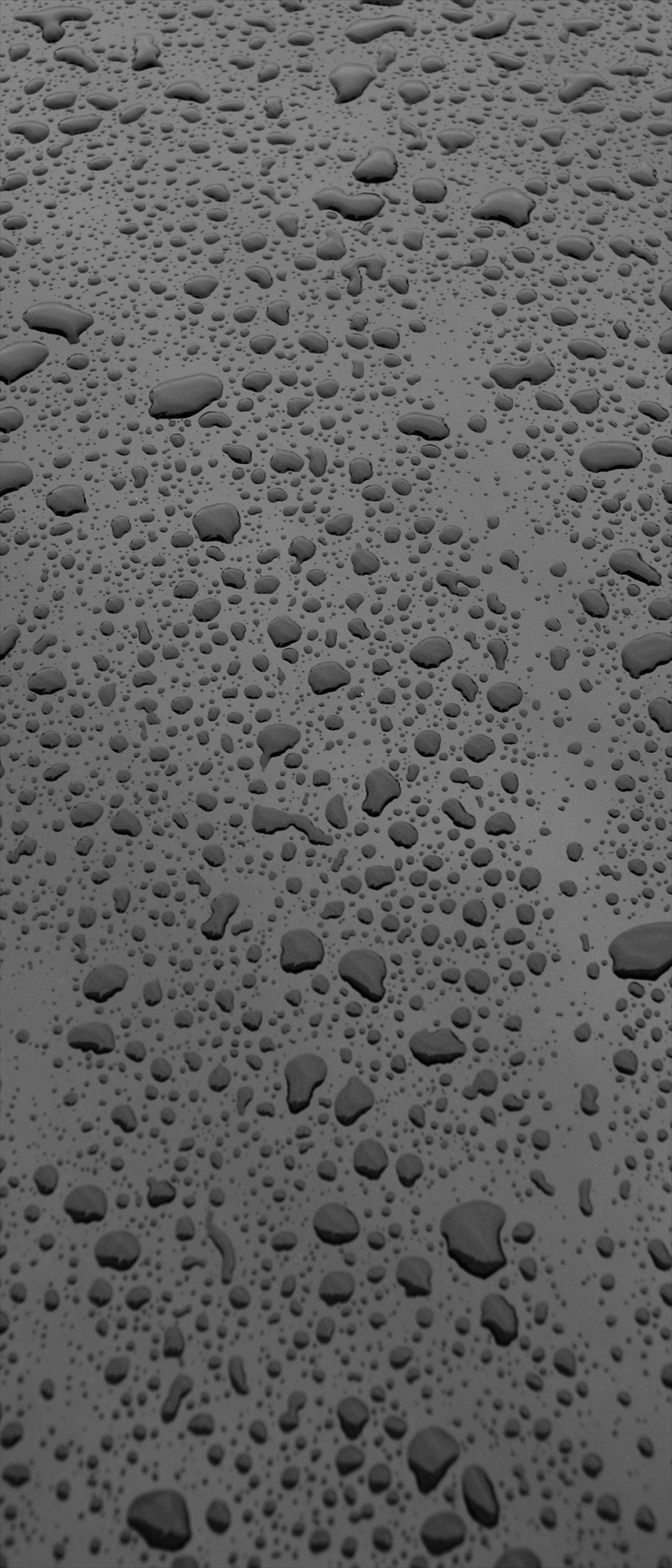 モノクロ 水滴のついたガラス面 Xperia 5 Androidスマホ壁紙 待ち受け スマラン
