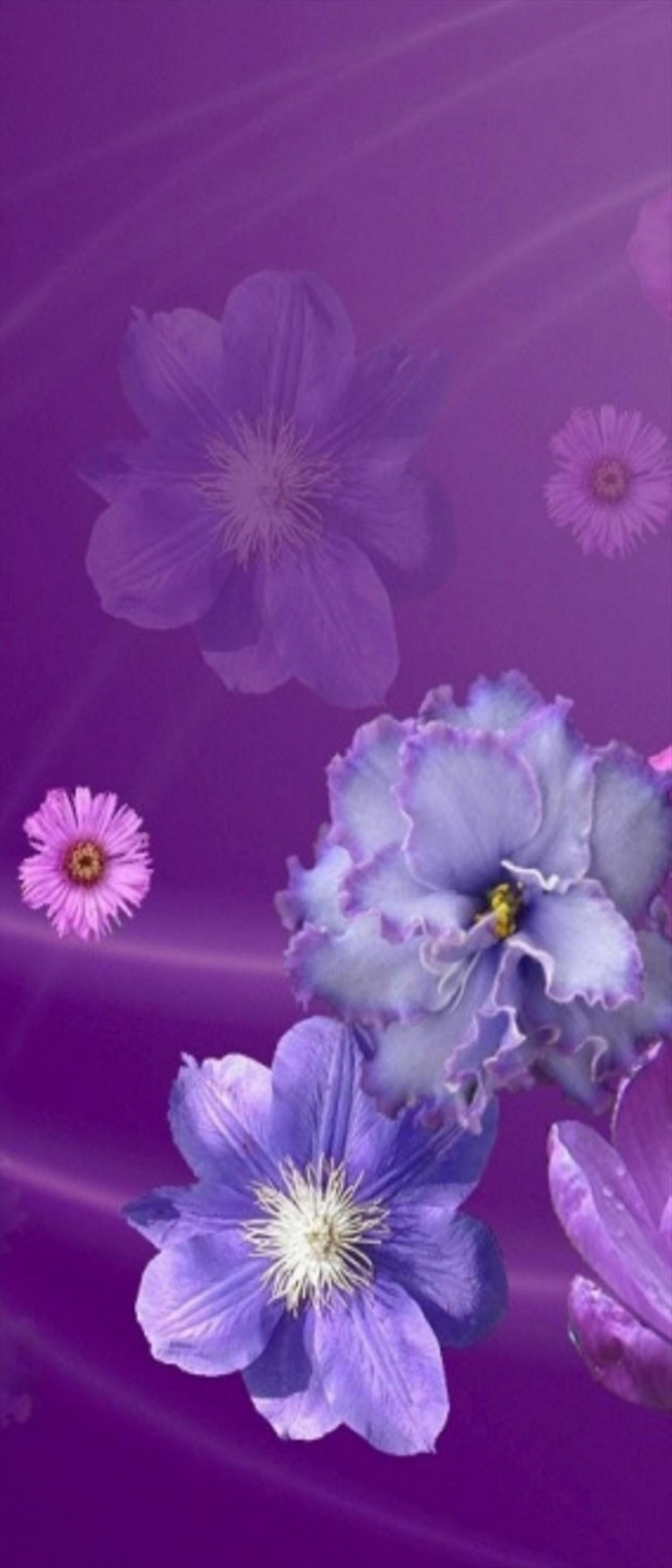 紫 ピンクの花 Xperia 8 Lite Androidスマホ壁紙 待ち受け スマラン