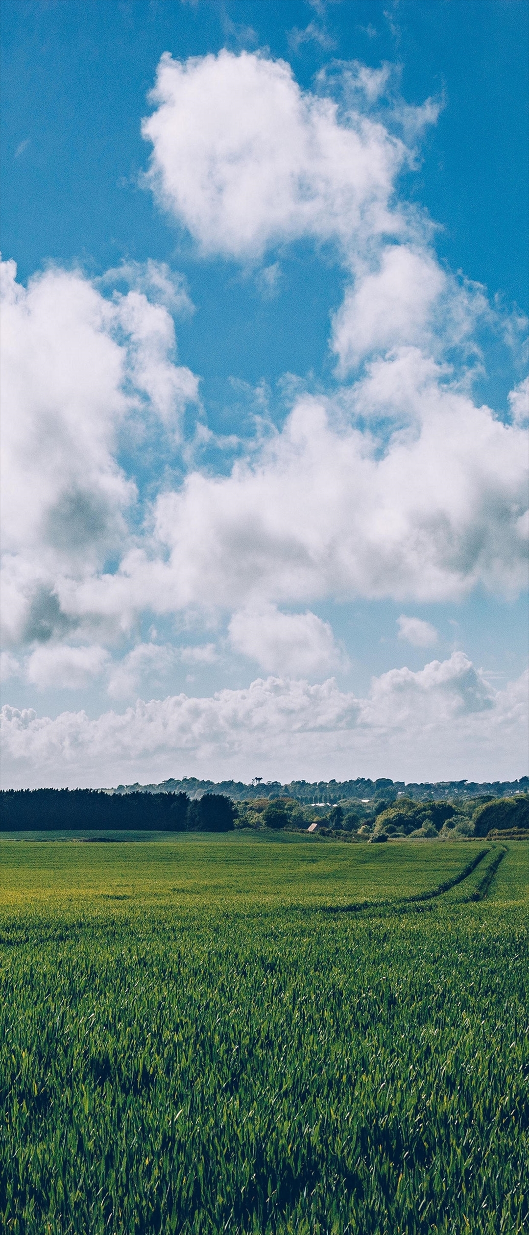 真夏の青空 緑の田園風景 Xperia 8 Lite Androidスマホ壁紙 待ち受け スマラン