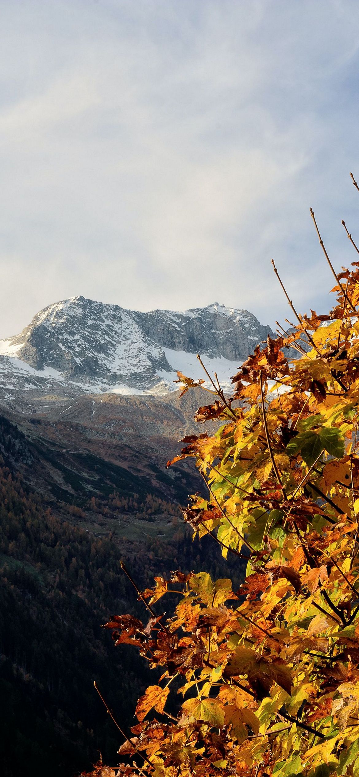 紅葉と雪山 Iphone 13 壁紙 待ち受け スマラン