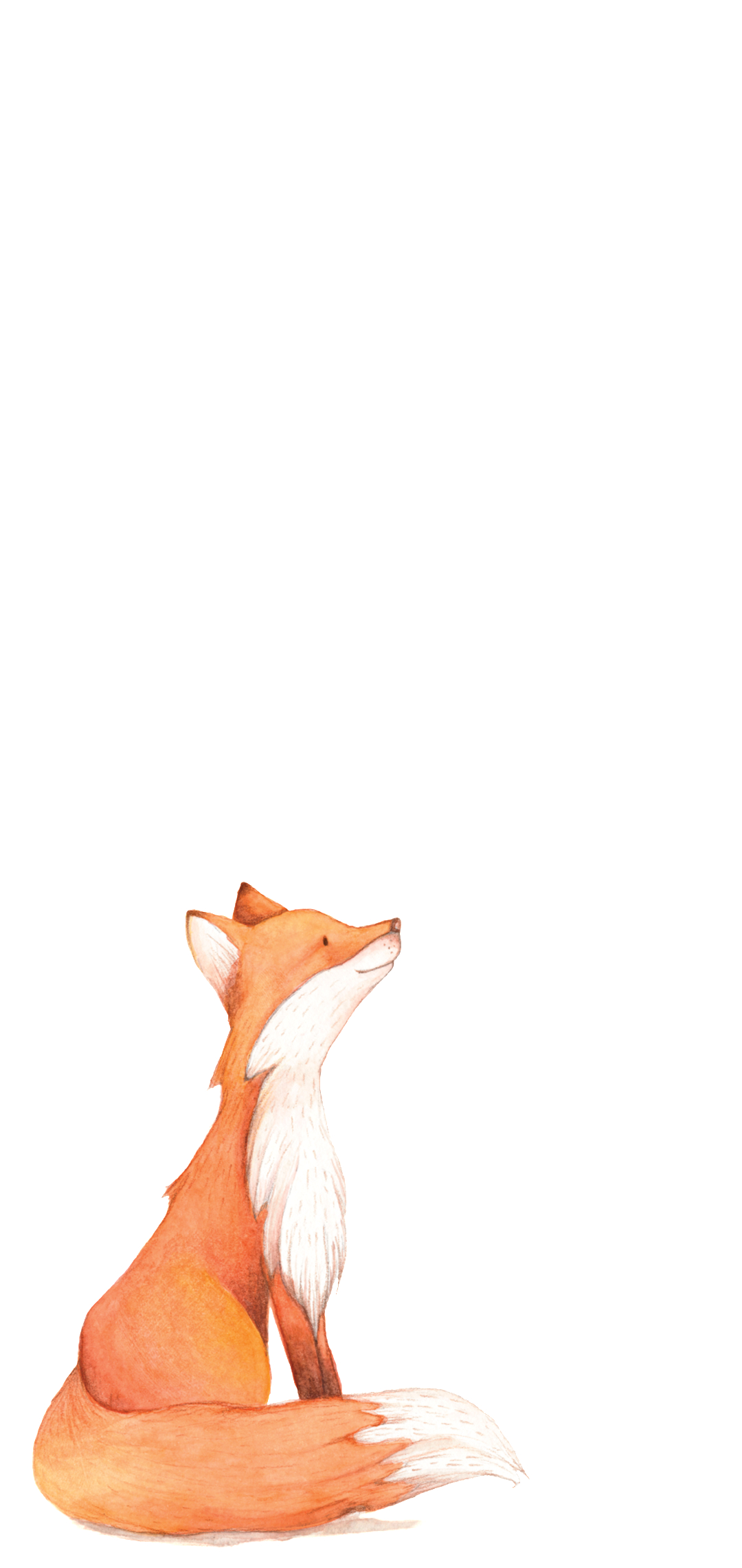 かわいい狐のイラスト Aquos Sense4 Lite スマホ壁紙 待ち受け スマラン