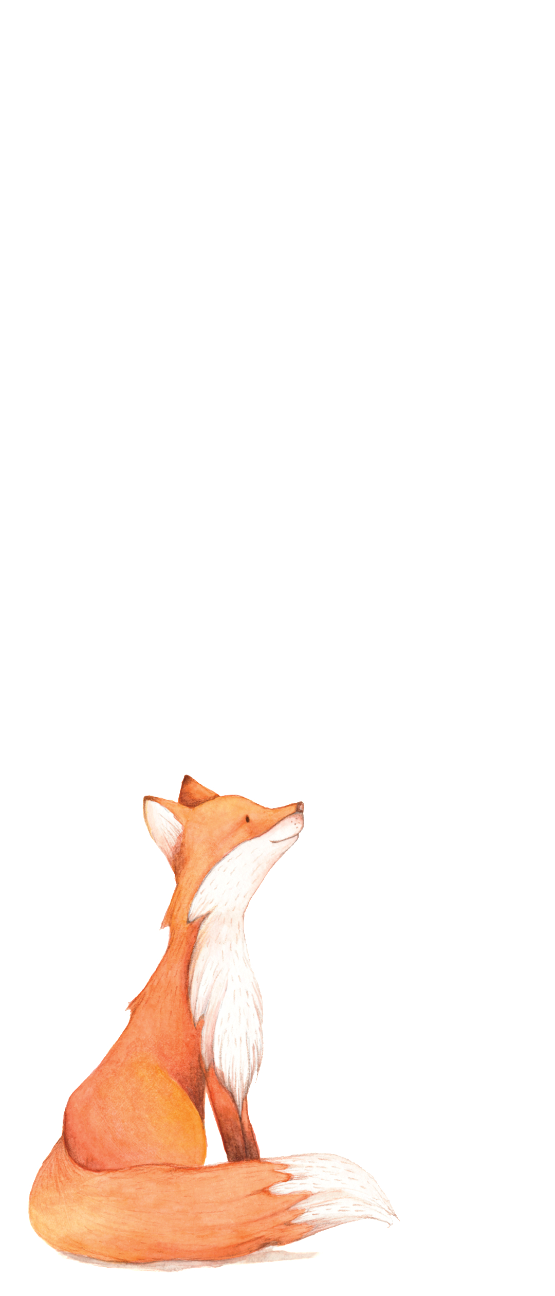 かわいい狐のイラスト Xperia 8 Lite スマホ壁紙 待ち受け スマラン