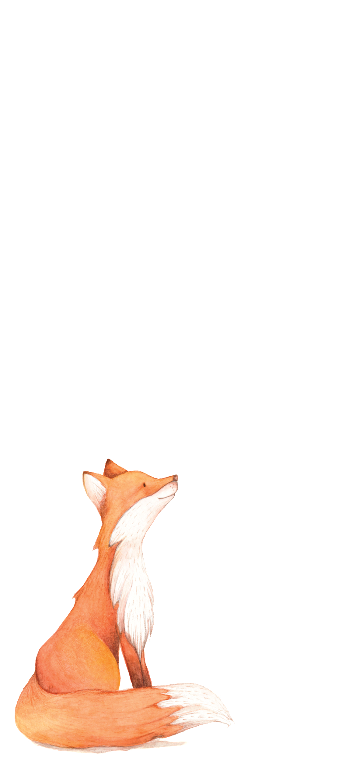 かわいい狐のイラスト Iphone 12 Pro 壁紙 待ち受け スマラン