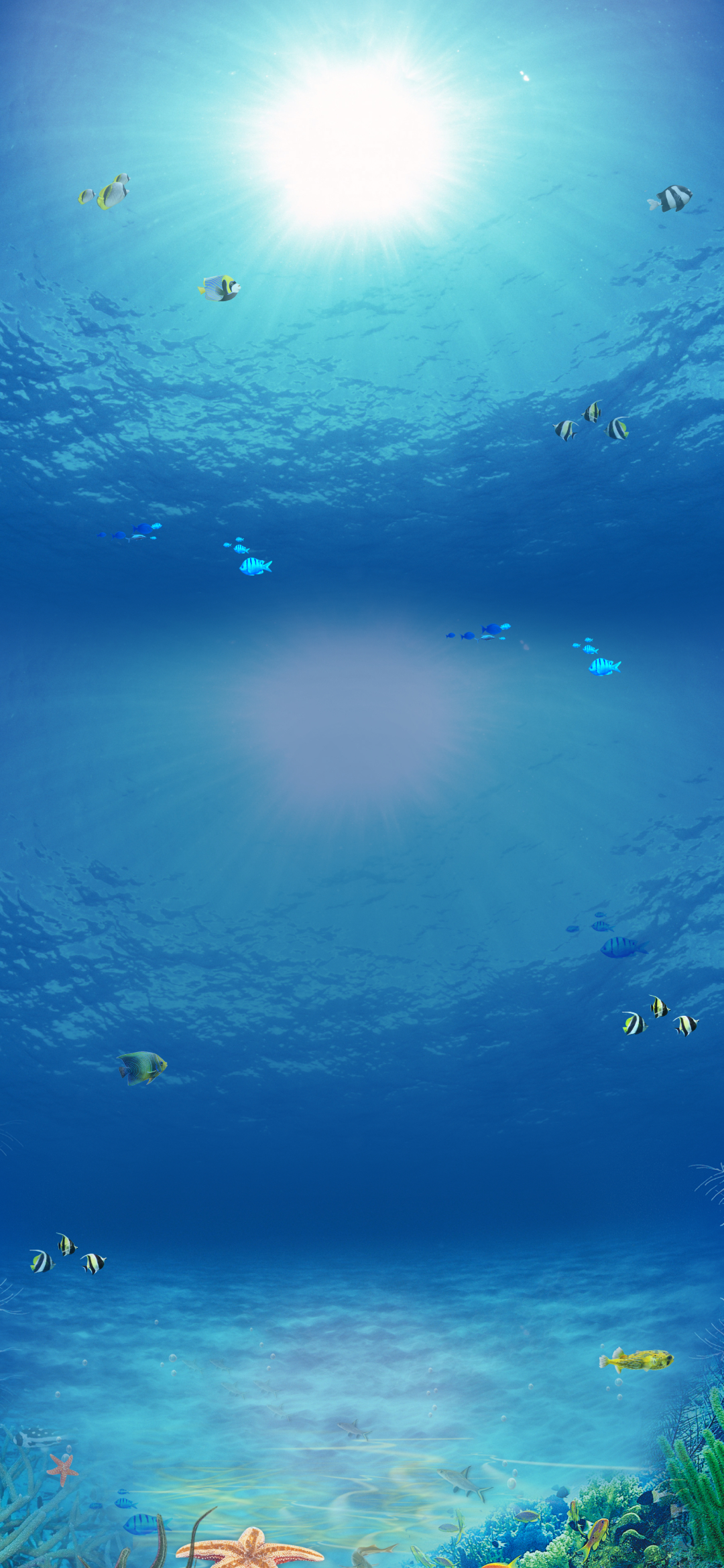 綺麗な海の中 Google Pixel 5 壁紙 待ち受け Sumaran