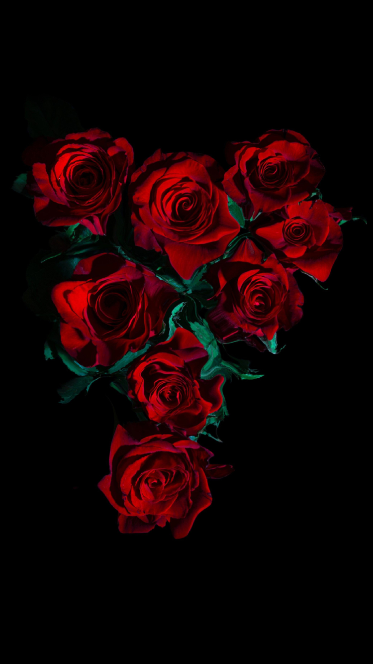 綺麗な薔薇の花 高画質 Iphone Se 第2世代 壁紙 待ち受け Sumaran