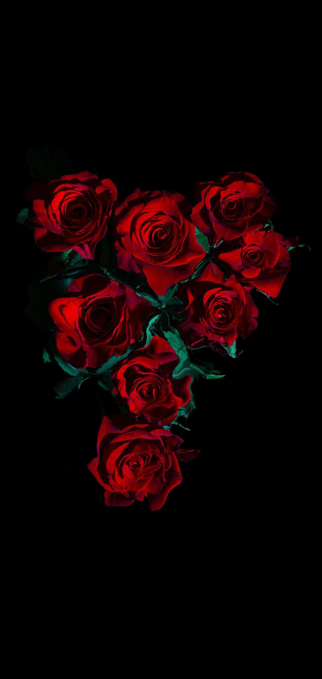 綺麗な薔薇の花 高画質 Zenfone Max Pro M2 壁紙 待ち受け スマラン