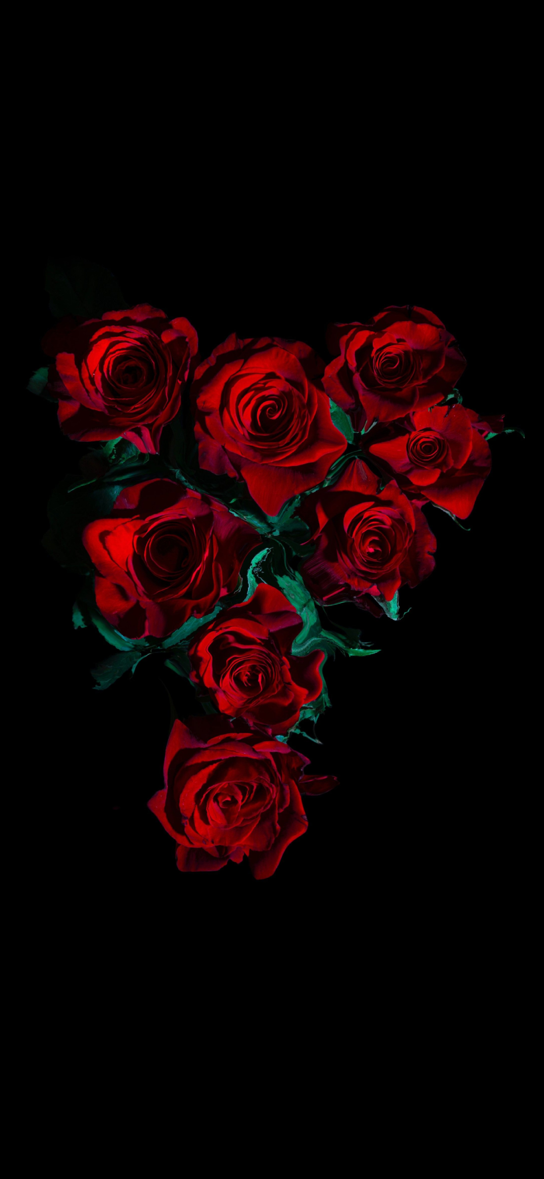 綺麗な薔薇の花 高画質 Aquos Zero2 壁紙 待ち受け スマラン
