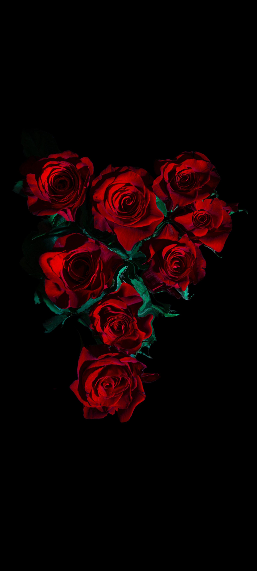 綺麗な薔薇の花 高画質 Zenfone 7 壁紙 待ち受け Sumaran
