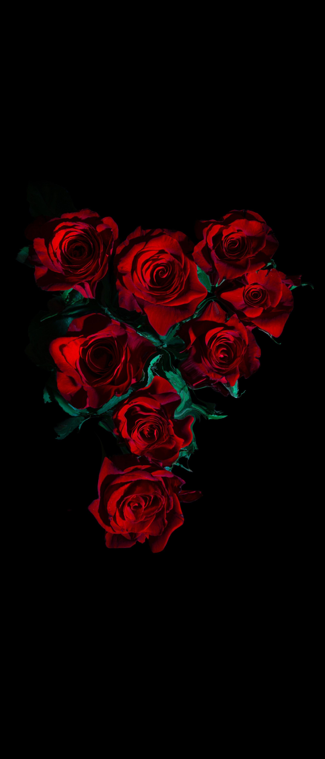 綺麗な薔薇の花 高画質 Moto G100 壁紙 待ち受け スマラン