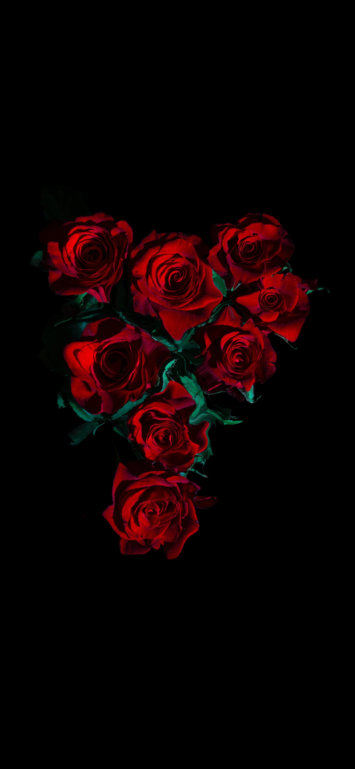 綺麗な薔薇の花 高画質 Iphone 12 Pro 壁紙 待ち受け スマラン