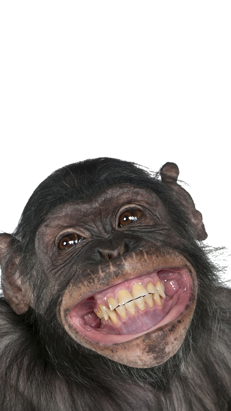 笑うチンパンジー Iphone 7 壁紙 待ち受け スマラン