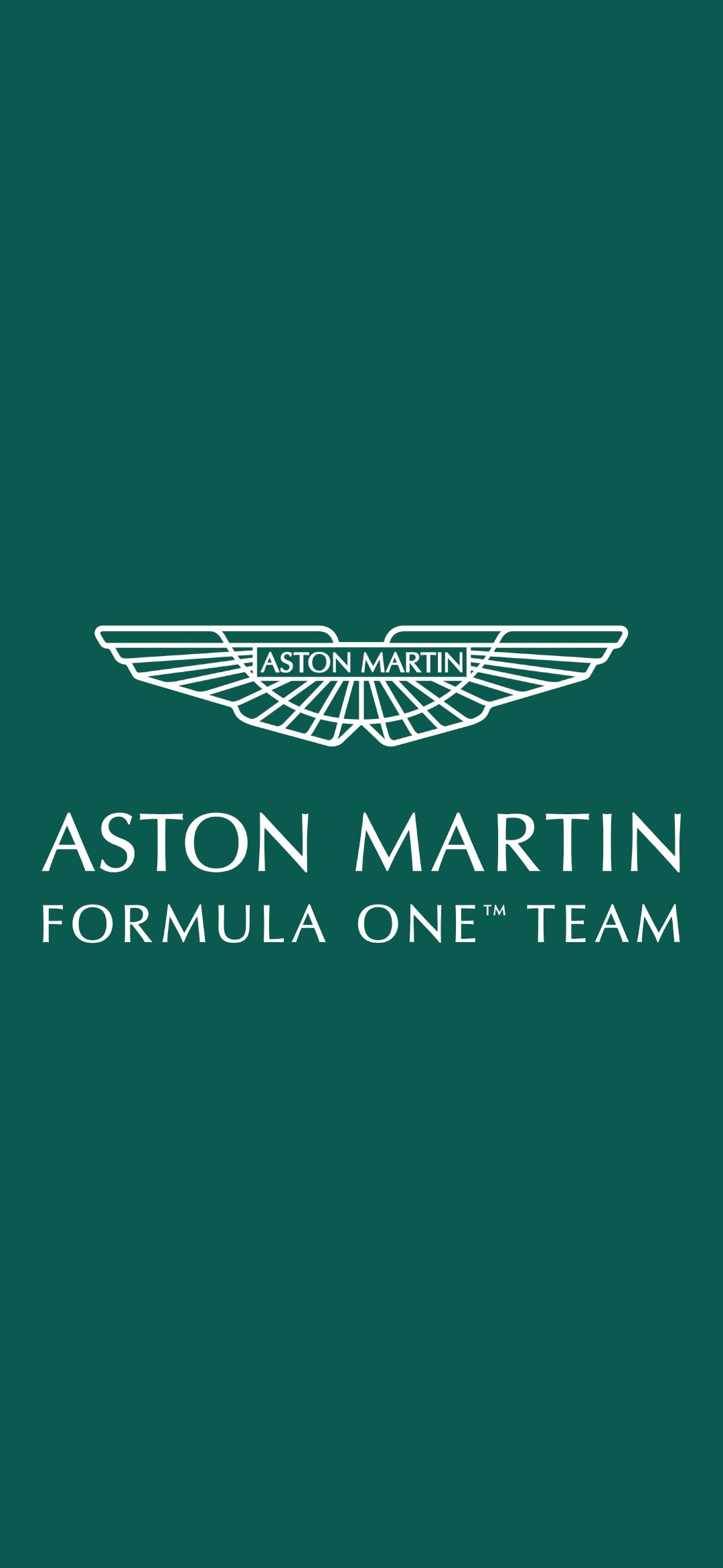 Aston Martin アストン マーチン Iphone 13 Mini 壁紙 待ち受け スマラン