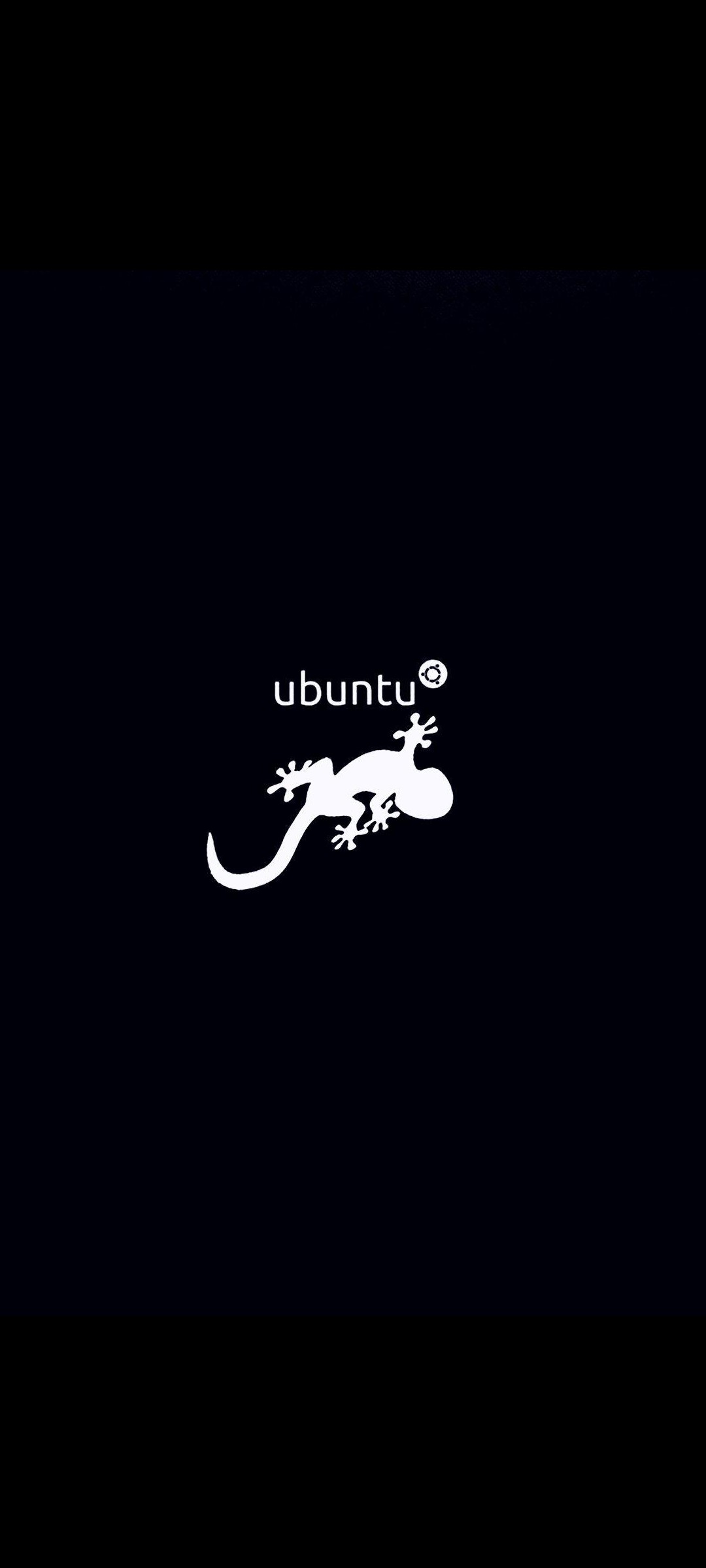 Ubuntu トカゲ Zenfone 8 壁紙 待ち受け Sumaran