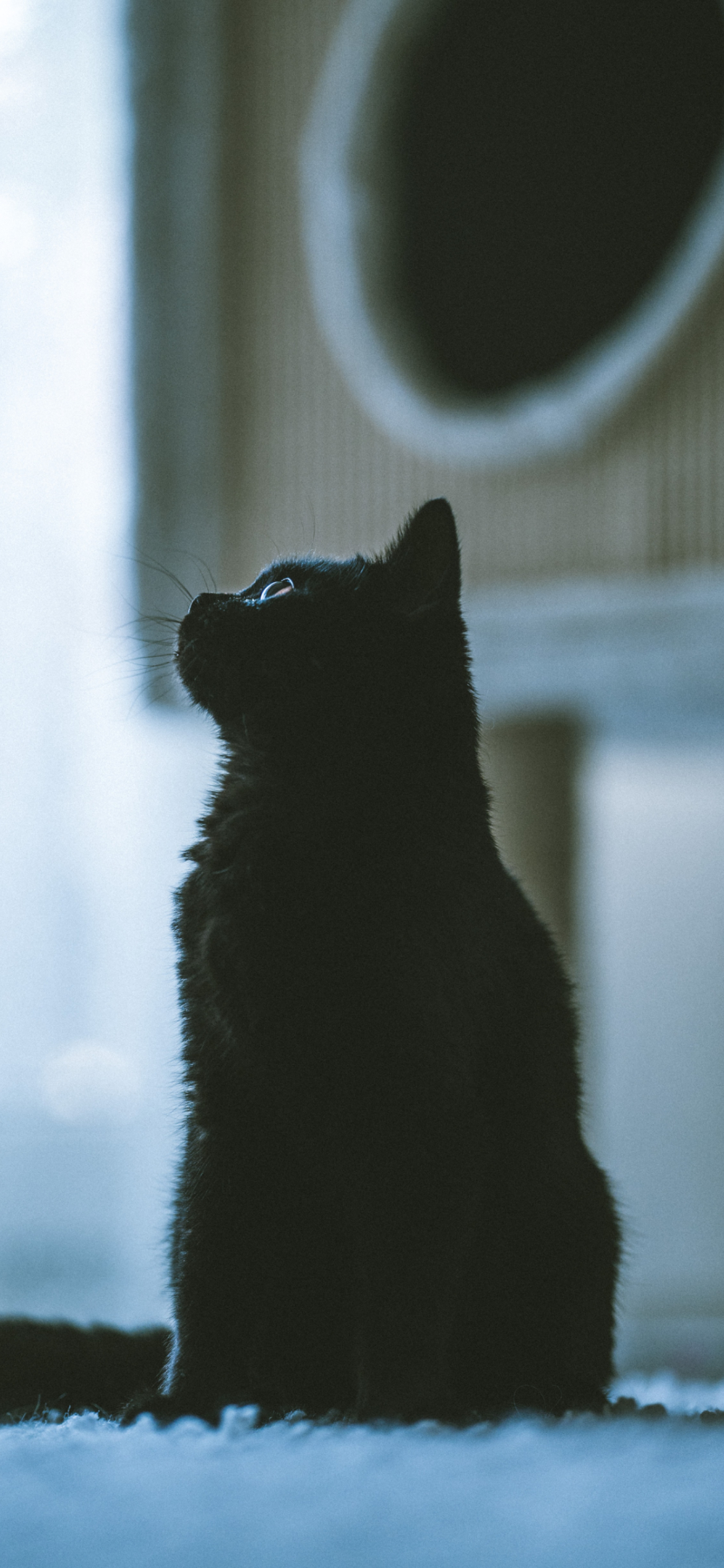 カブ 唯一 生む スマホ 壁紙 黒 猫 フリンジ 電話する 告発者