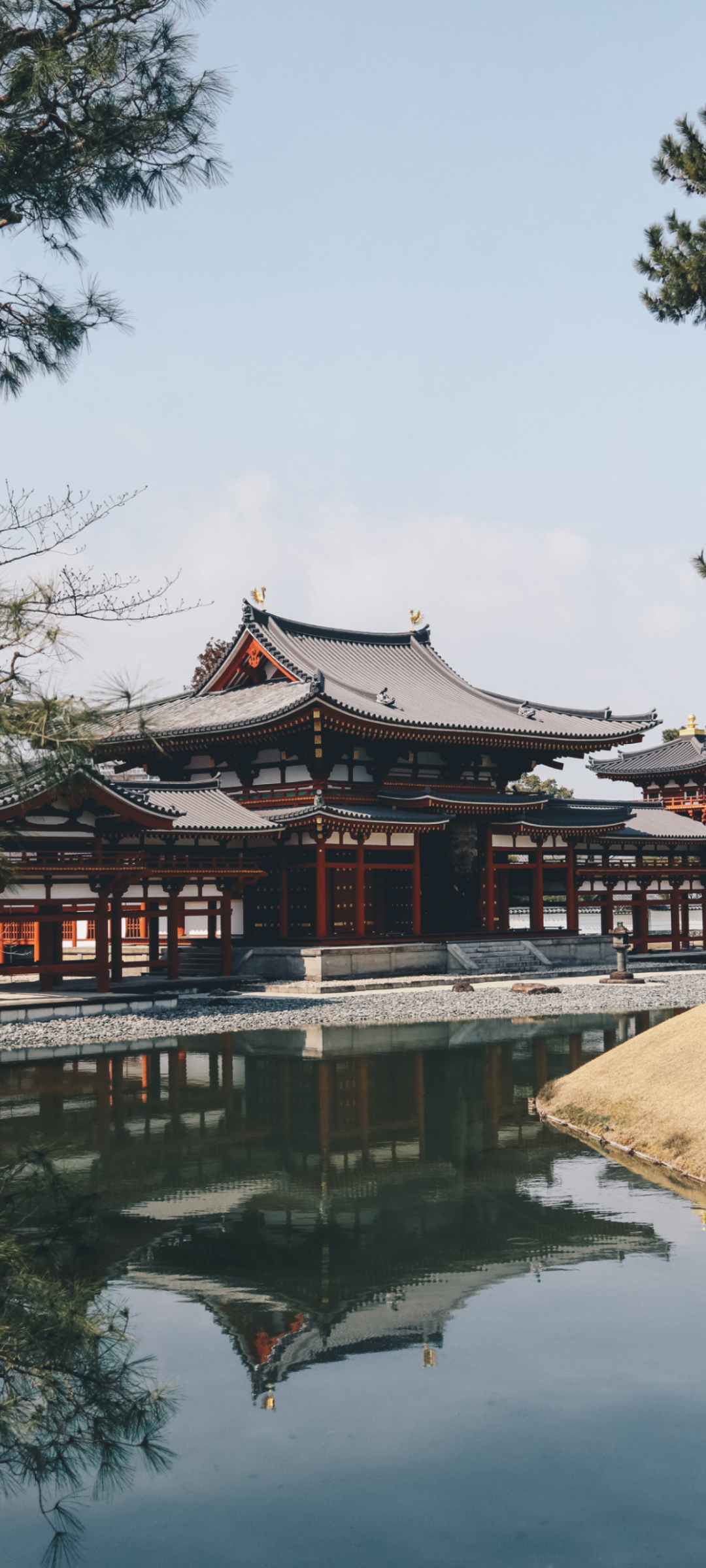 京都 宇治 平等院 寺院 Google Pixel 6 壁紙 待ち受け スマラン