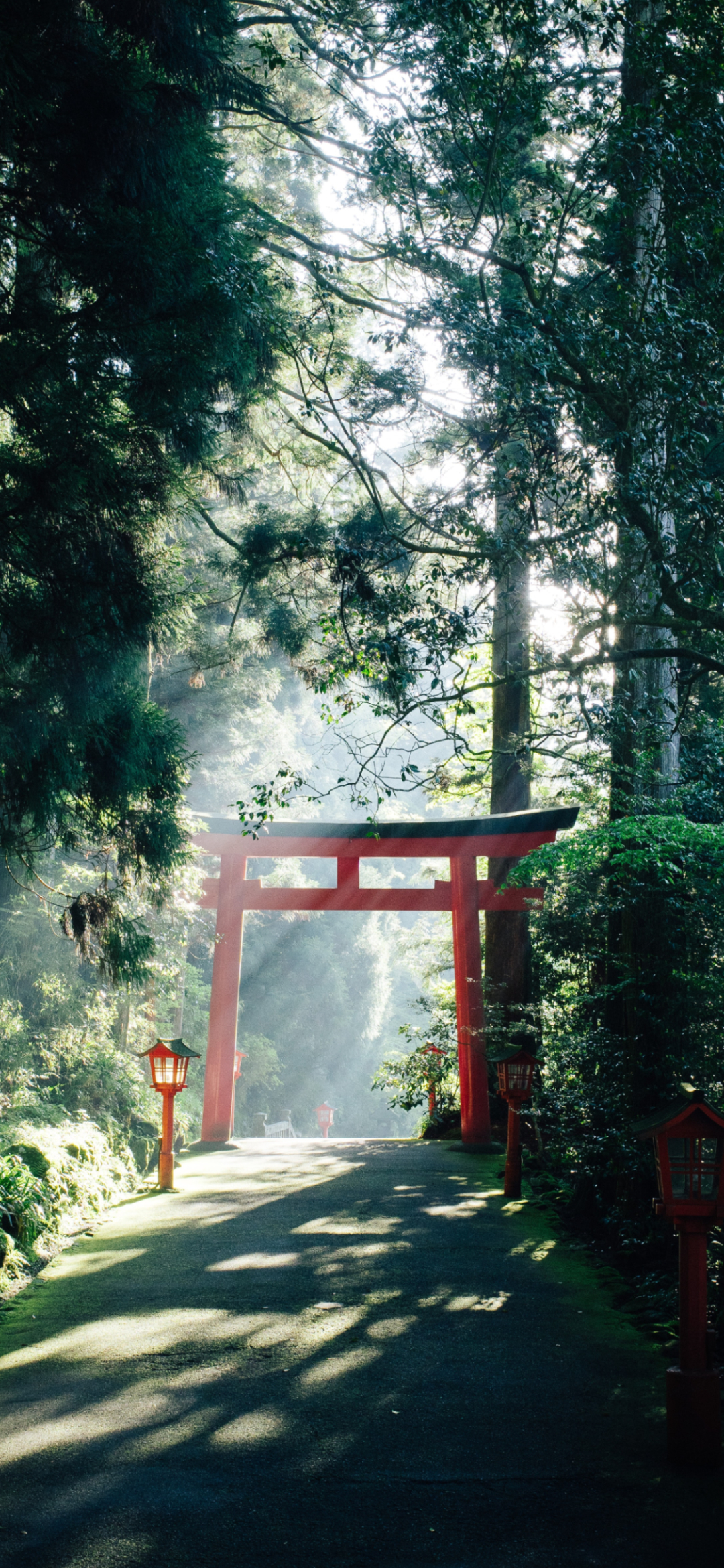 箱根神社 九頭龍神社 Google Pixel 5 壁紙 待ち受け Sumaran