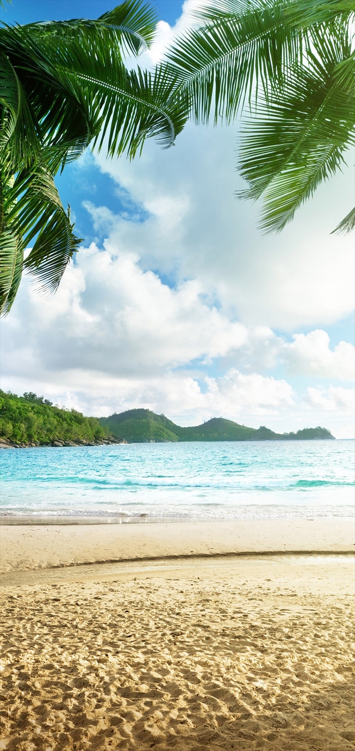 椰子の木 水色の綺麗な海 砂浜 Aquos Wish 壁紙 待ち受け スマラン