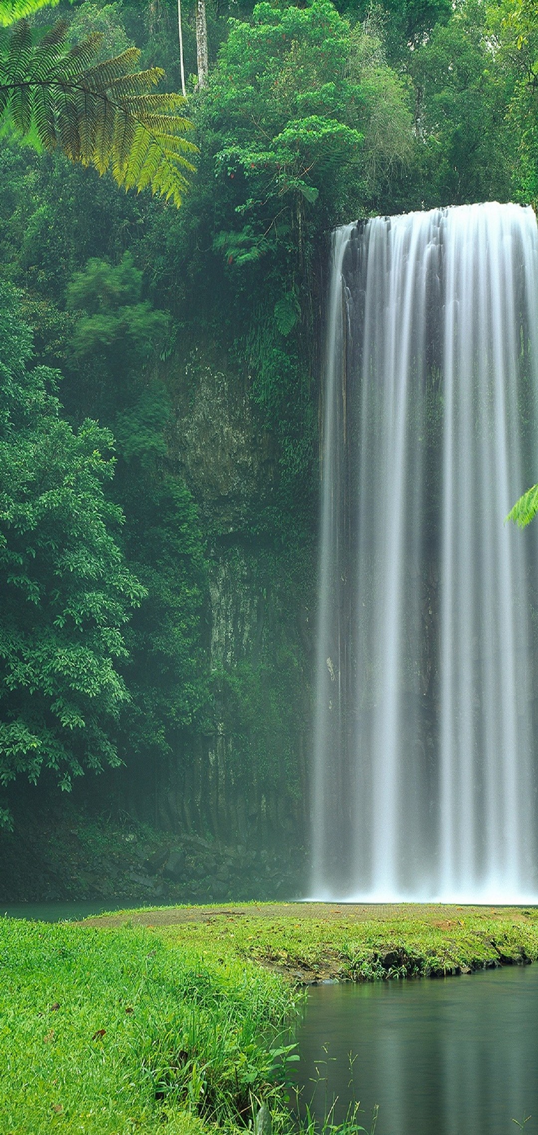 森の中の綺麗な滝 Huawei P Lite Androidスマホ壁紙 待ち受け スマラン