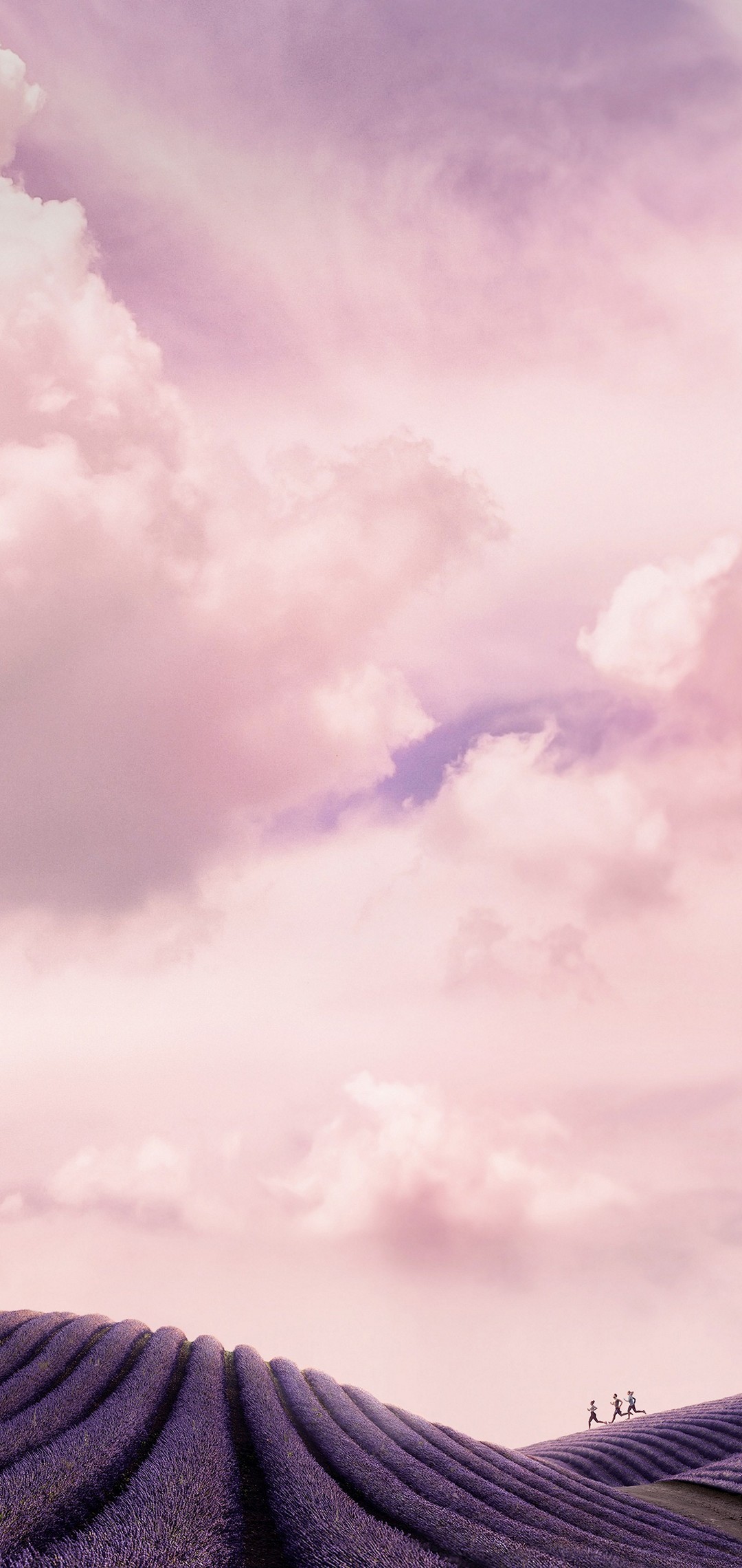 薄い紫 ピンクの空 ラベンダー畑 走る人 Aquos Sense4 Basic Androidスマホ壁紙 待ち受け スマラン