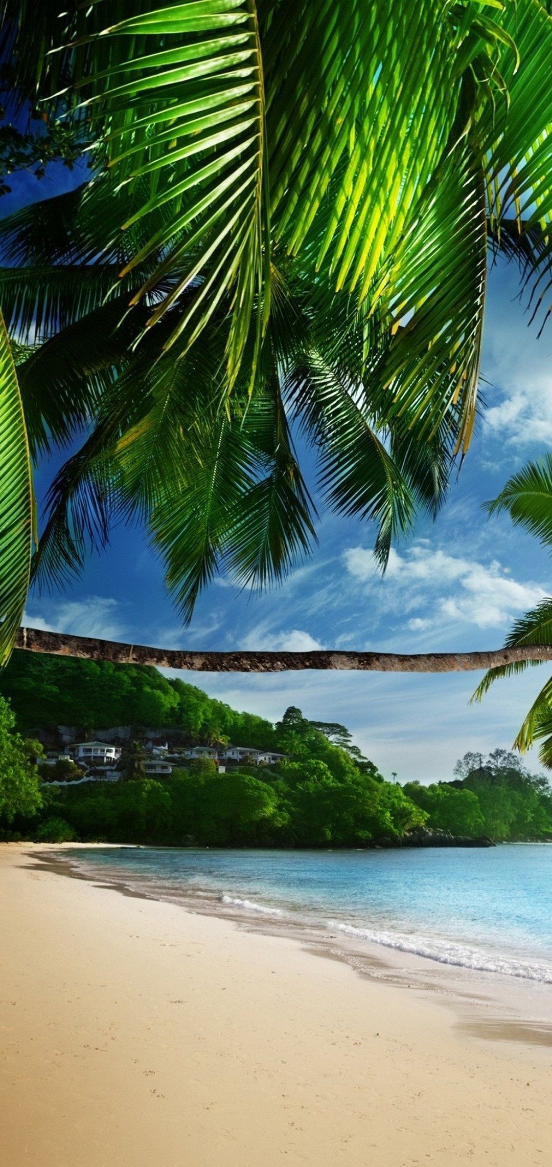椰子の木 海沿いの住宅 Moto G8 Plus Androidスマホ壁紙 待ち受け スマラン