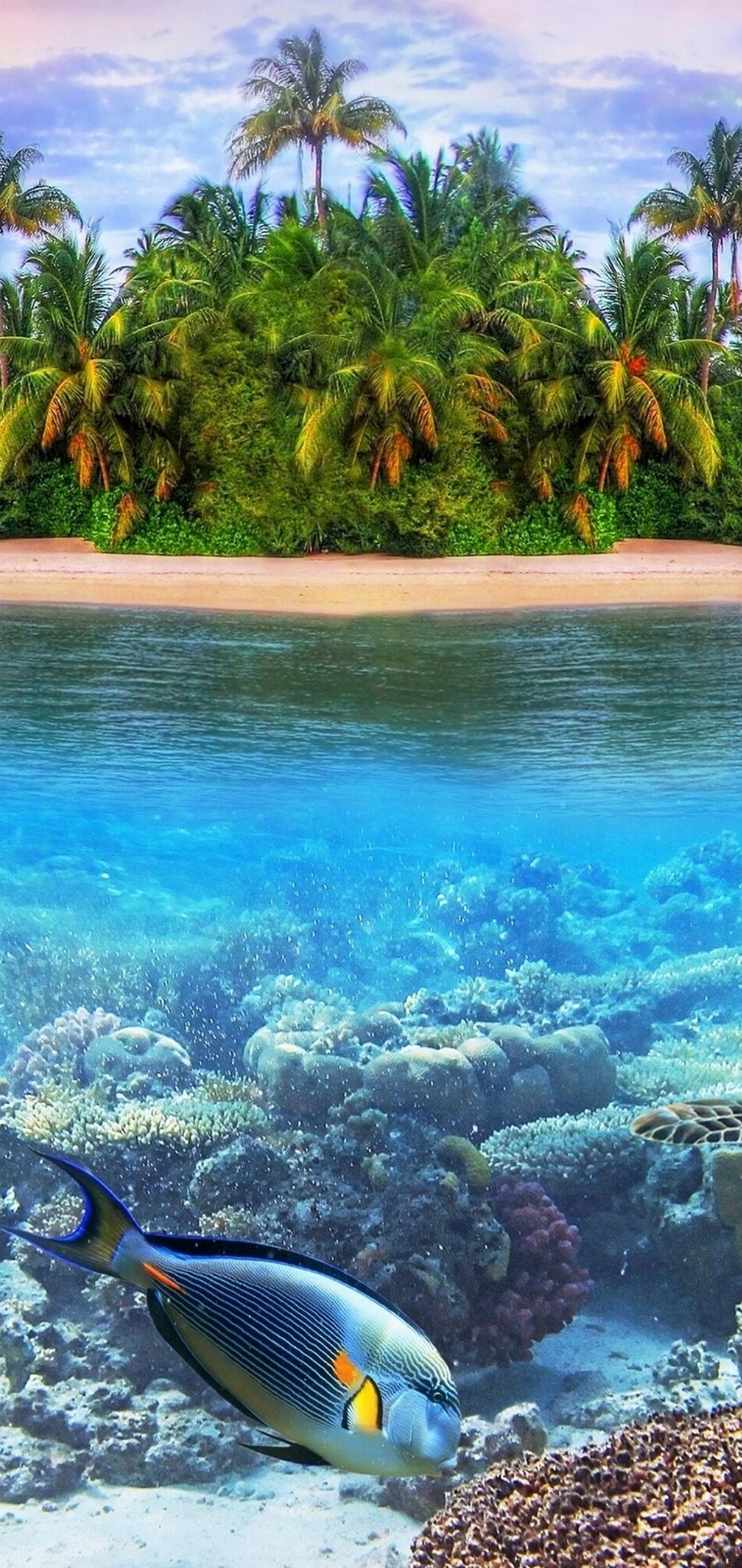 無人島 熱帯魚 海の中 Oppo R15 Pro Androidスマホ壁紙 待ち受け スマラン