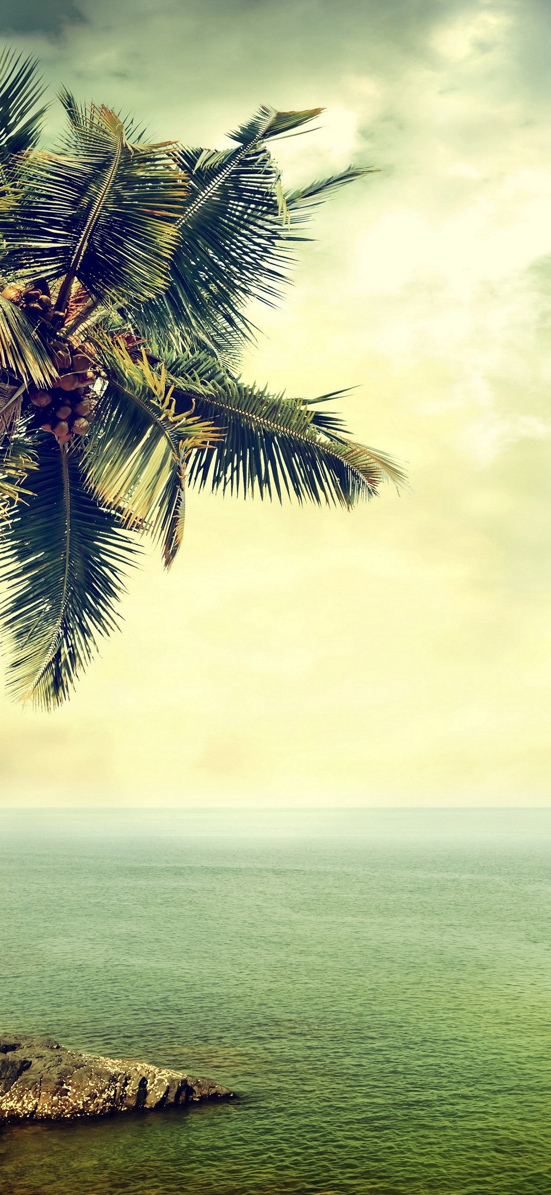 緑の海と椰子の木 Galaxy A30 Android スマホ壁紙 待ち受け スマラン