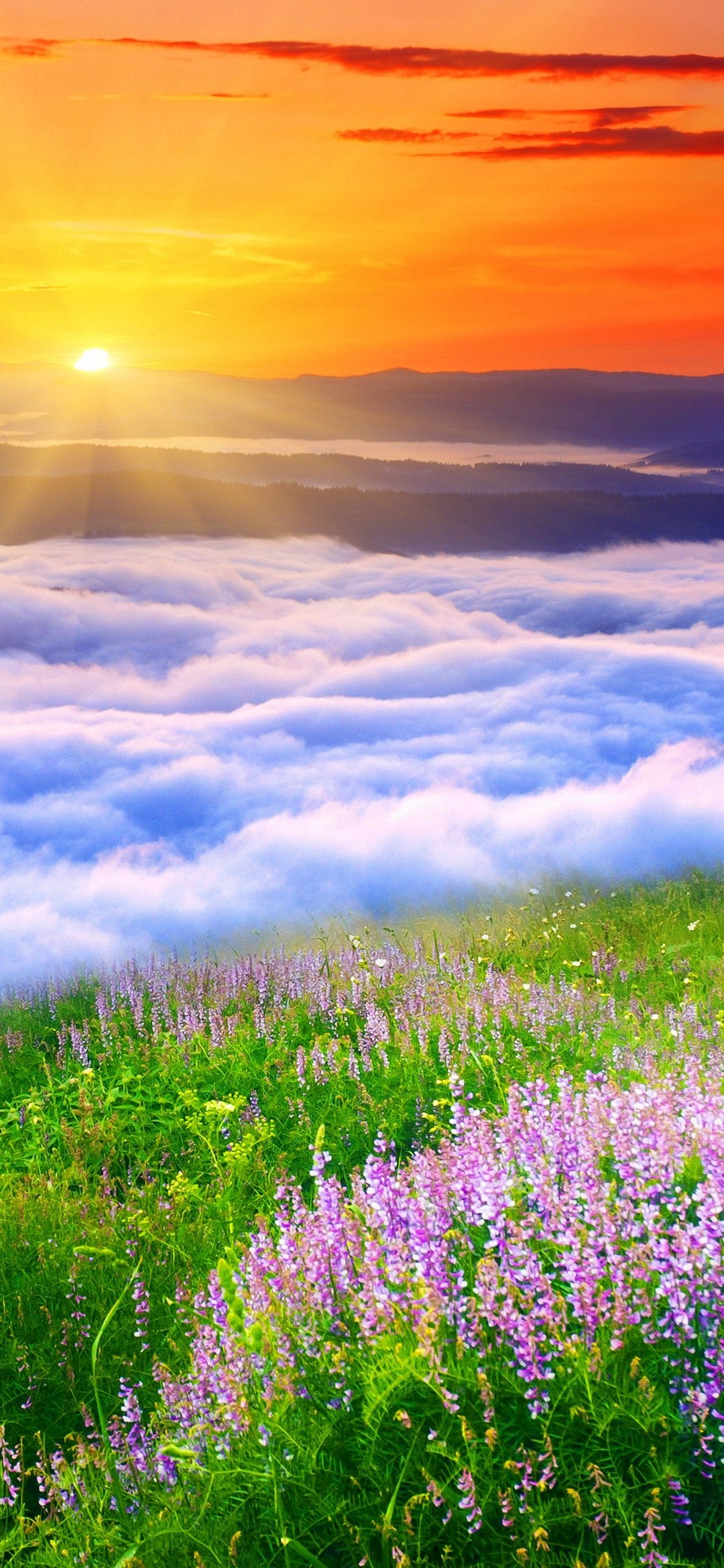 White Clouds And Sunset Purple Flowers Redmagic 5 Android スマホ壁紙 待ち受け スマラン