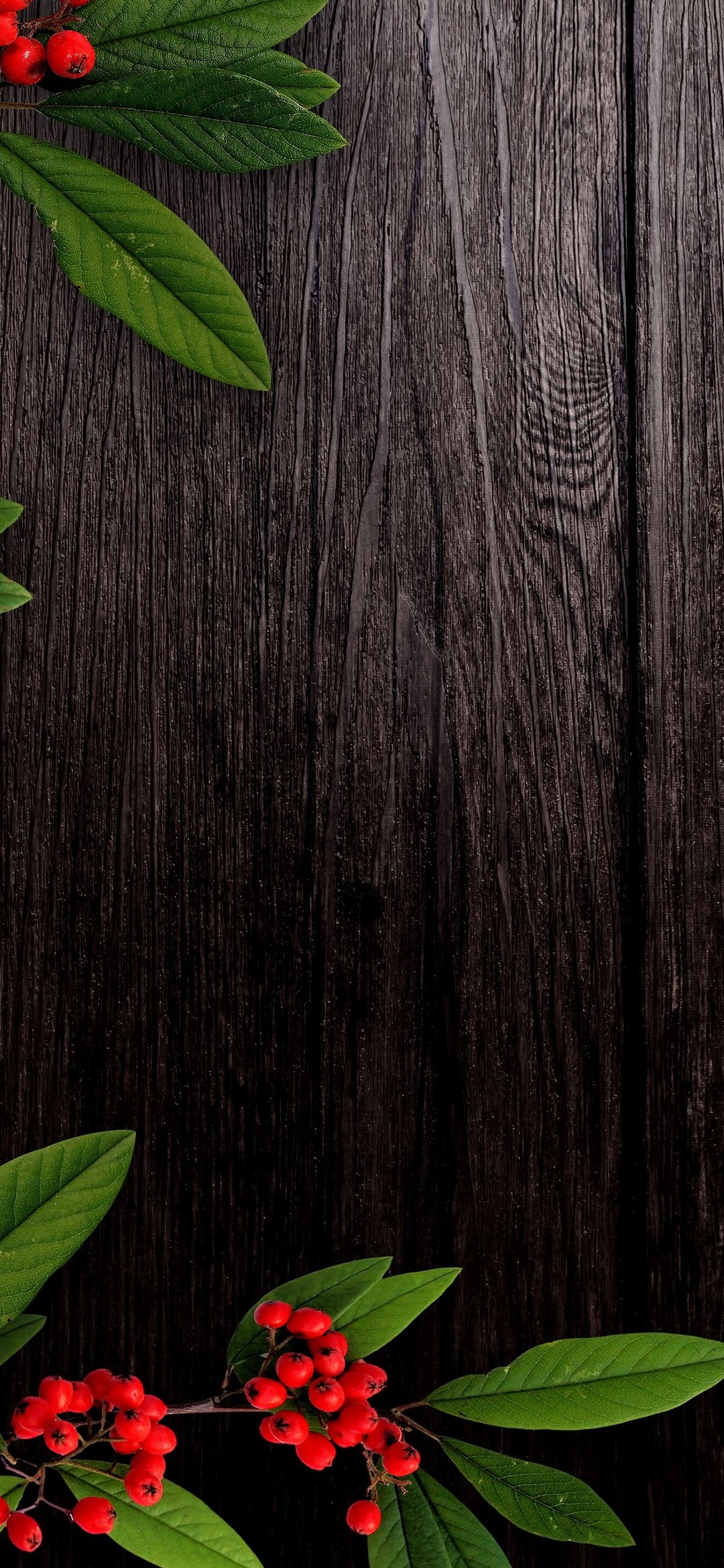 Brown Wooden Board Red Grass Redmi 9t Android スマホ壁紙 待ち受け スマラン
