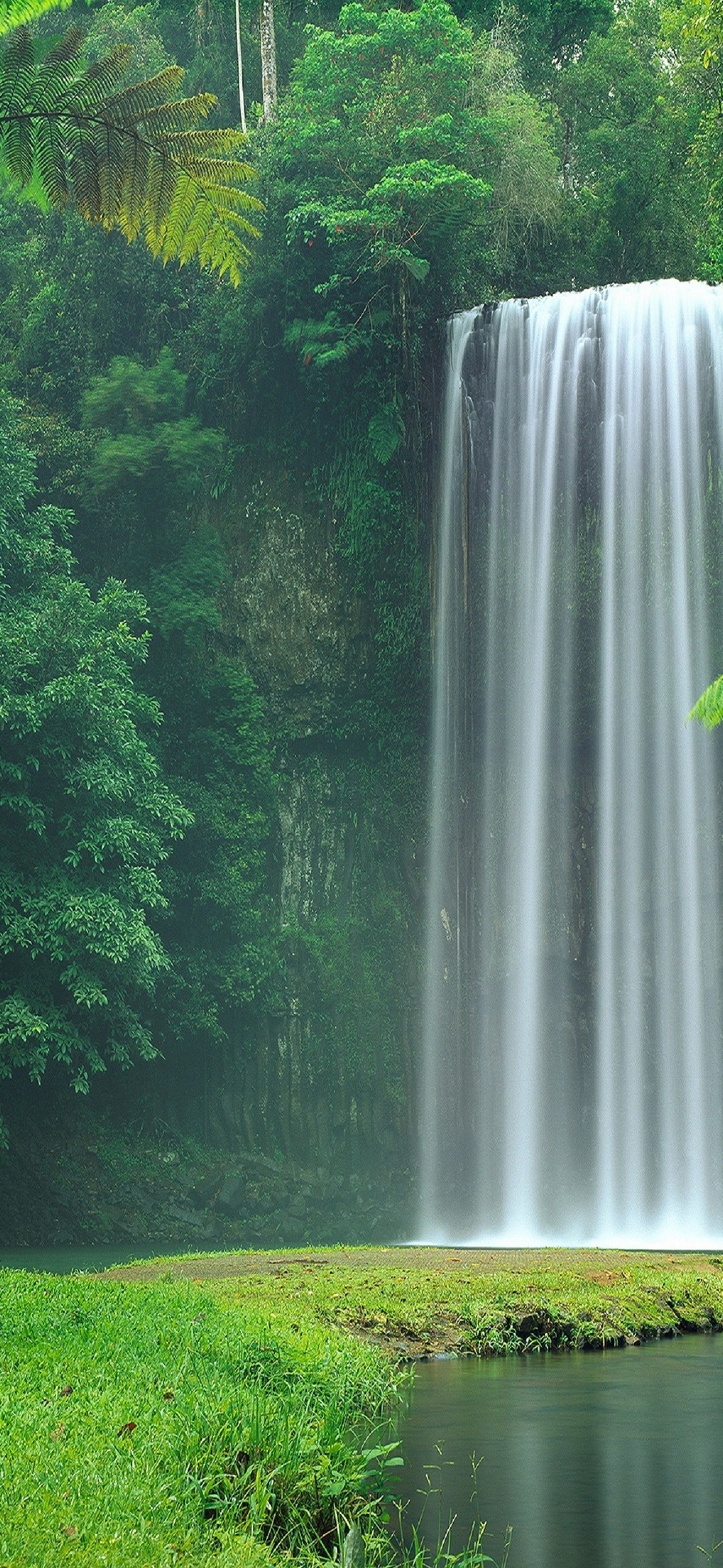 Beautiful Waterfall On The Riverside Redmagic 5 Android スマホ壁紙 待ち受け スマラン