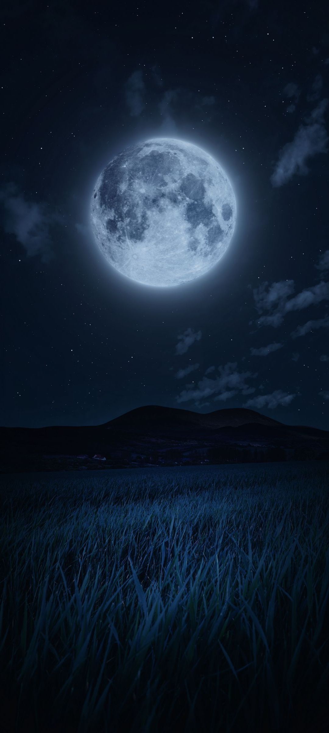 暗い草原と満月 Galaxy S21 5g Androidスマホ壁紙 待ち受け スマラン
