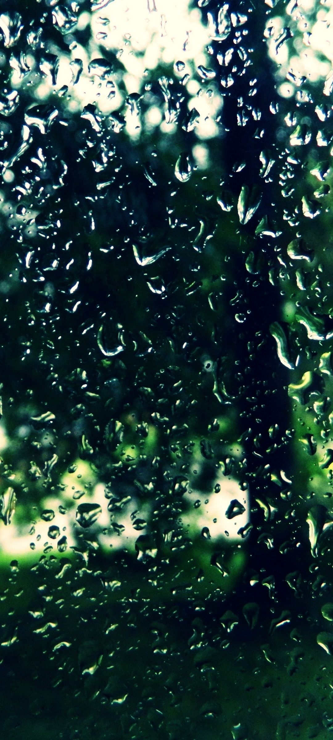 緑色の自然が透けて見える水滴がついたガラス Mi 10 Lite 5G 壁紙・待ち受け