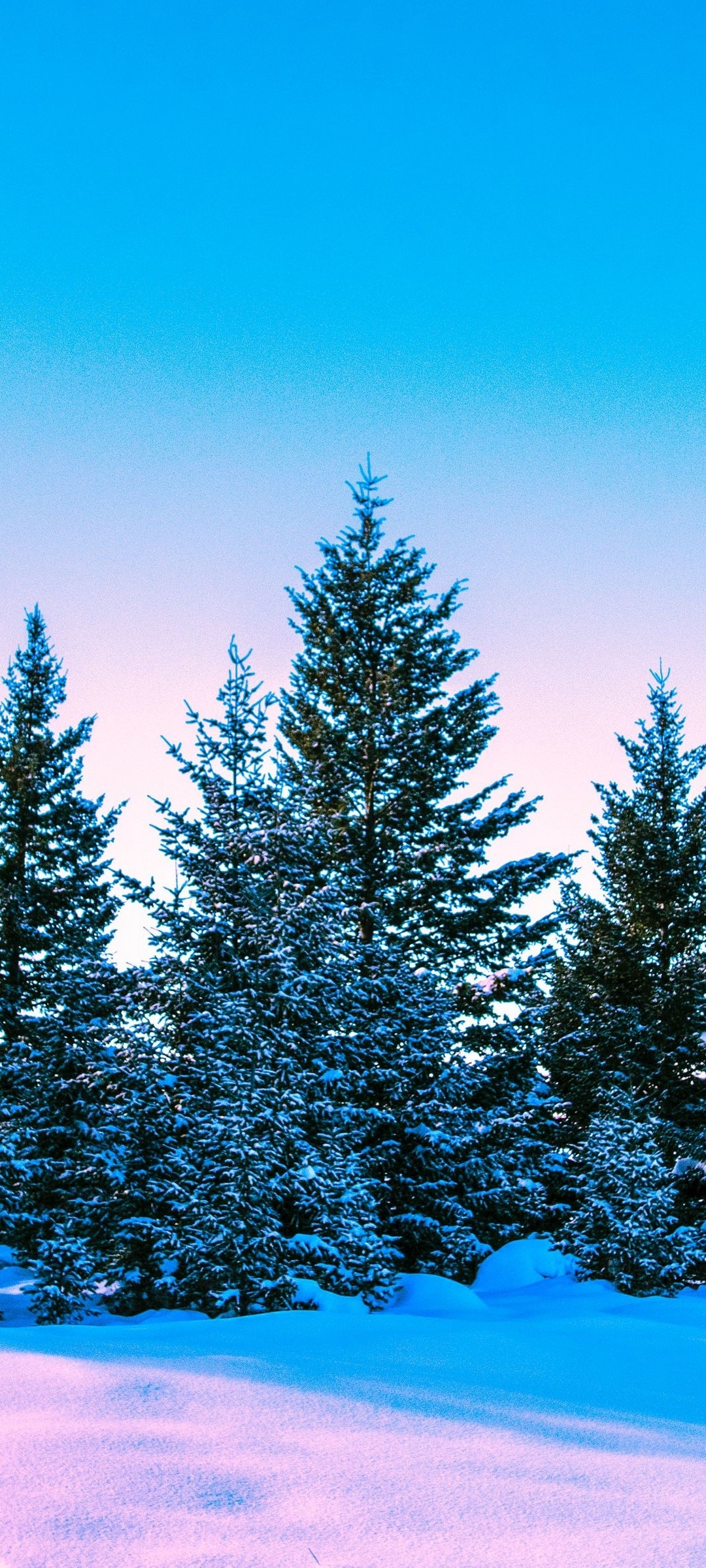 青空と雪が残る木々 Mi 11 Lite 5G 壁紙・待ち受け