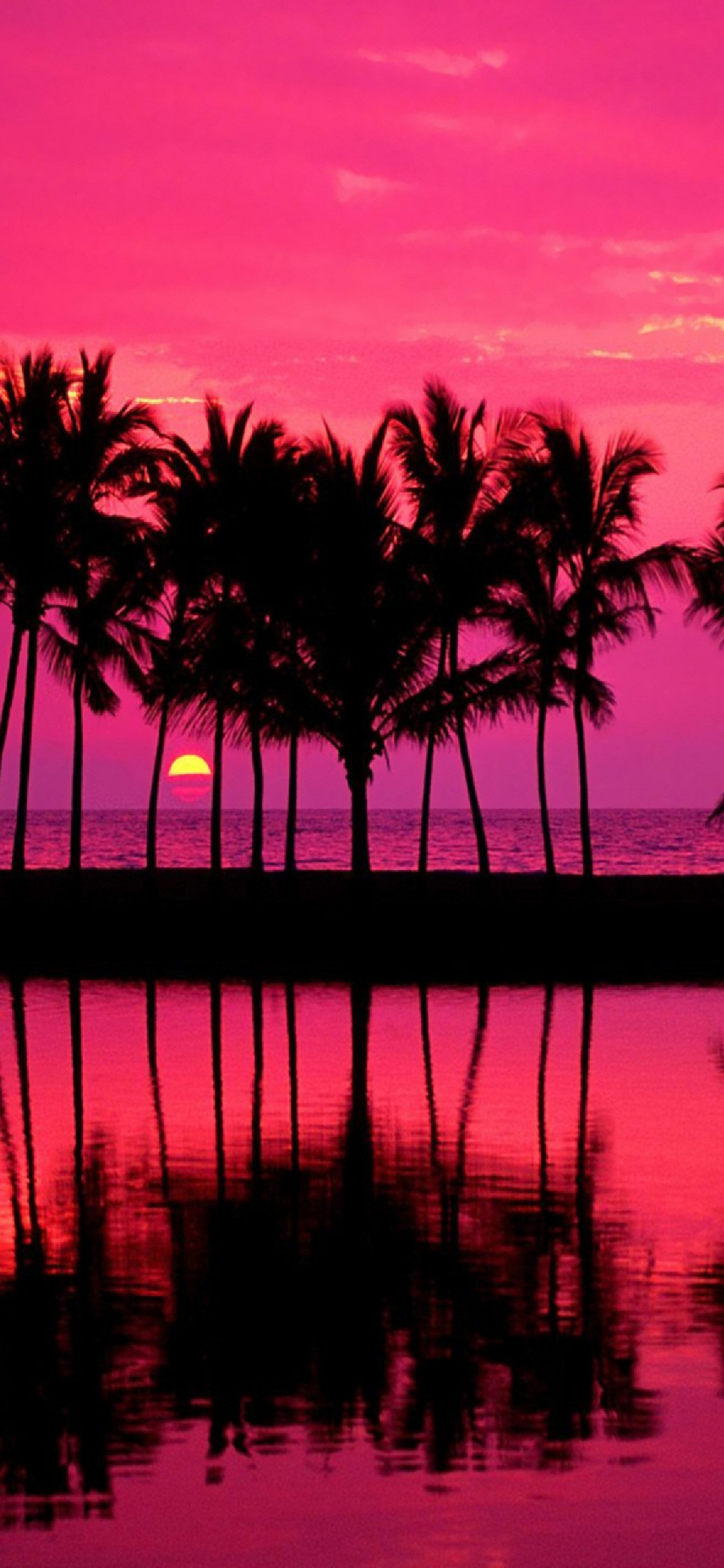 ピンクに染まる海と夕日 iPhone XS 壁紙・待ち受け