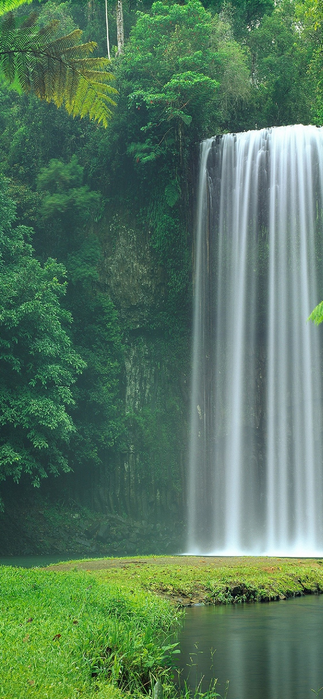流れ落ちる滝と緑の自然 Iphone 11 Pro 壁紙 待ち受け スマラン