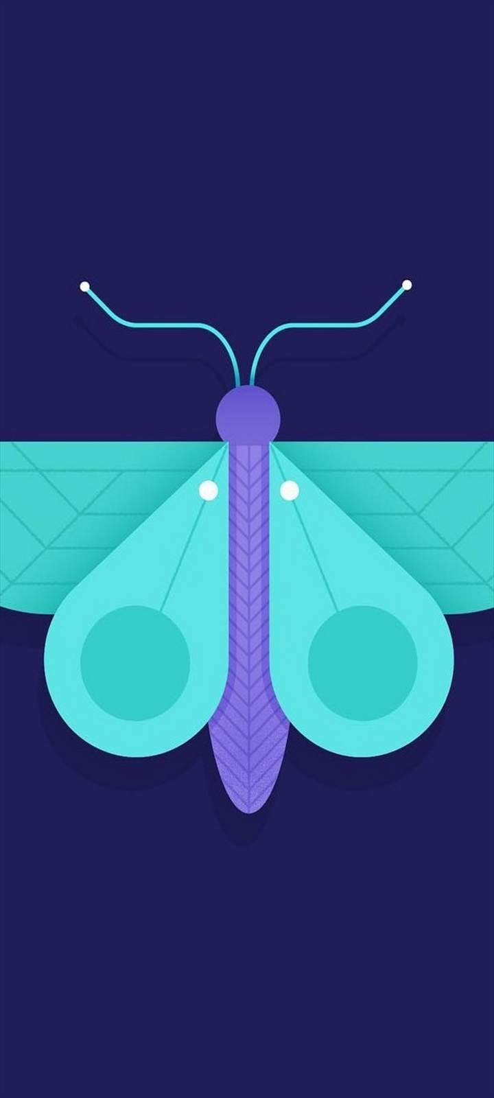 紫 緑の蝶のアイコン Oppo A5 Androidスマホ壁紙 待ち受け スマラン
