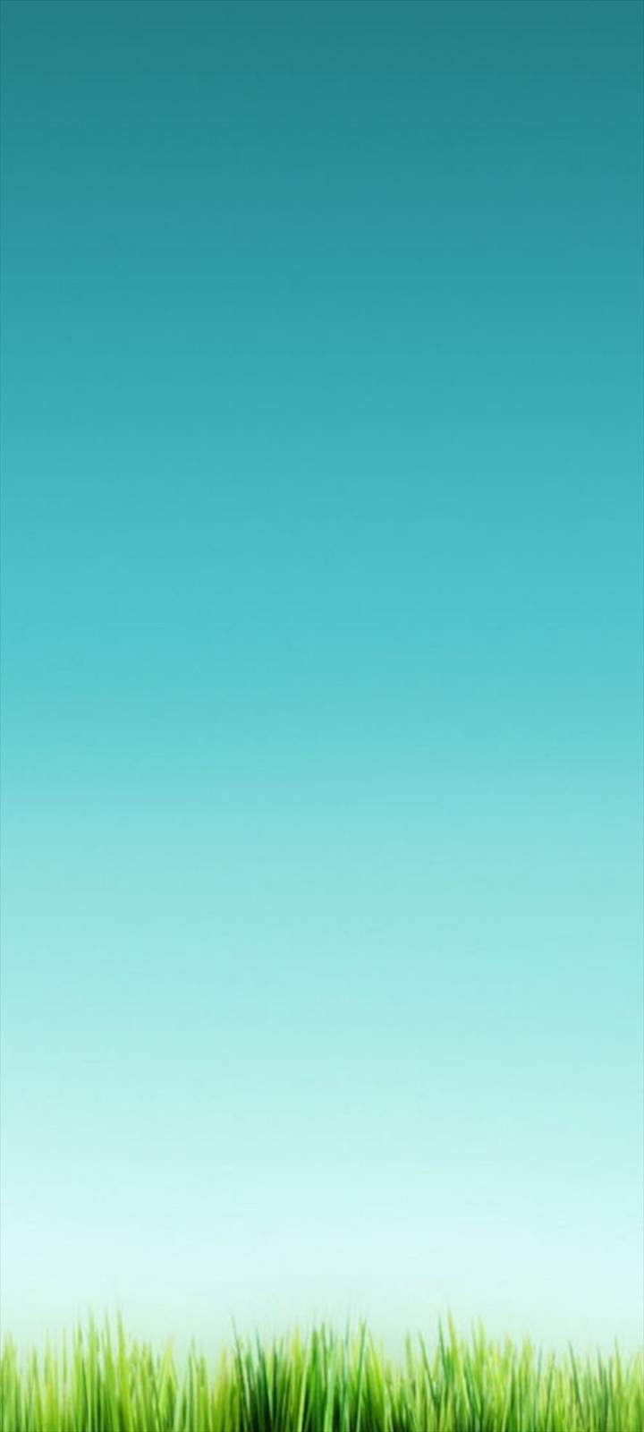 緑のグラデーションの空と雑草 Moto G9 Play Androidスマホ壁紙 待ち受け スマラン