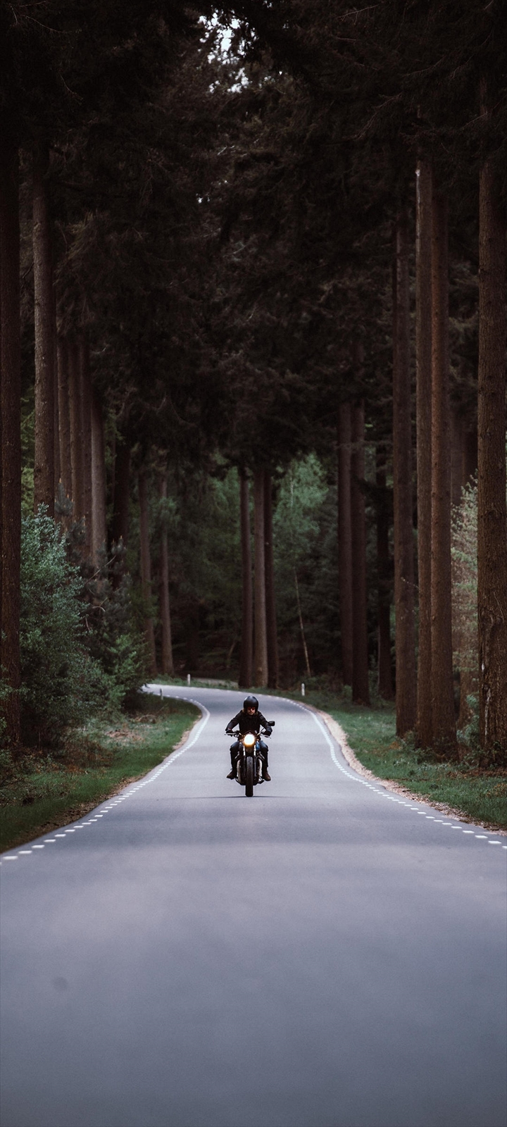 森の中の道路を走るバイク ライダー Moto E7 Power Androidスマホ壁紙 待ち受け スマラン
