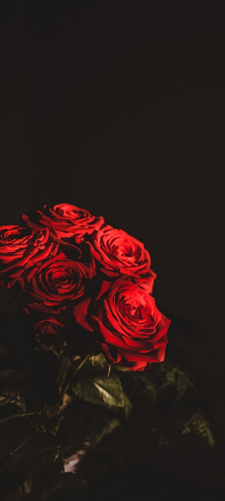 綺麗な赤い薔薇の束 Oppo A5 壁紙 待ち受け スマラン