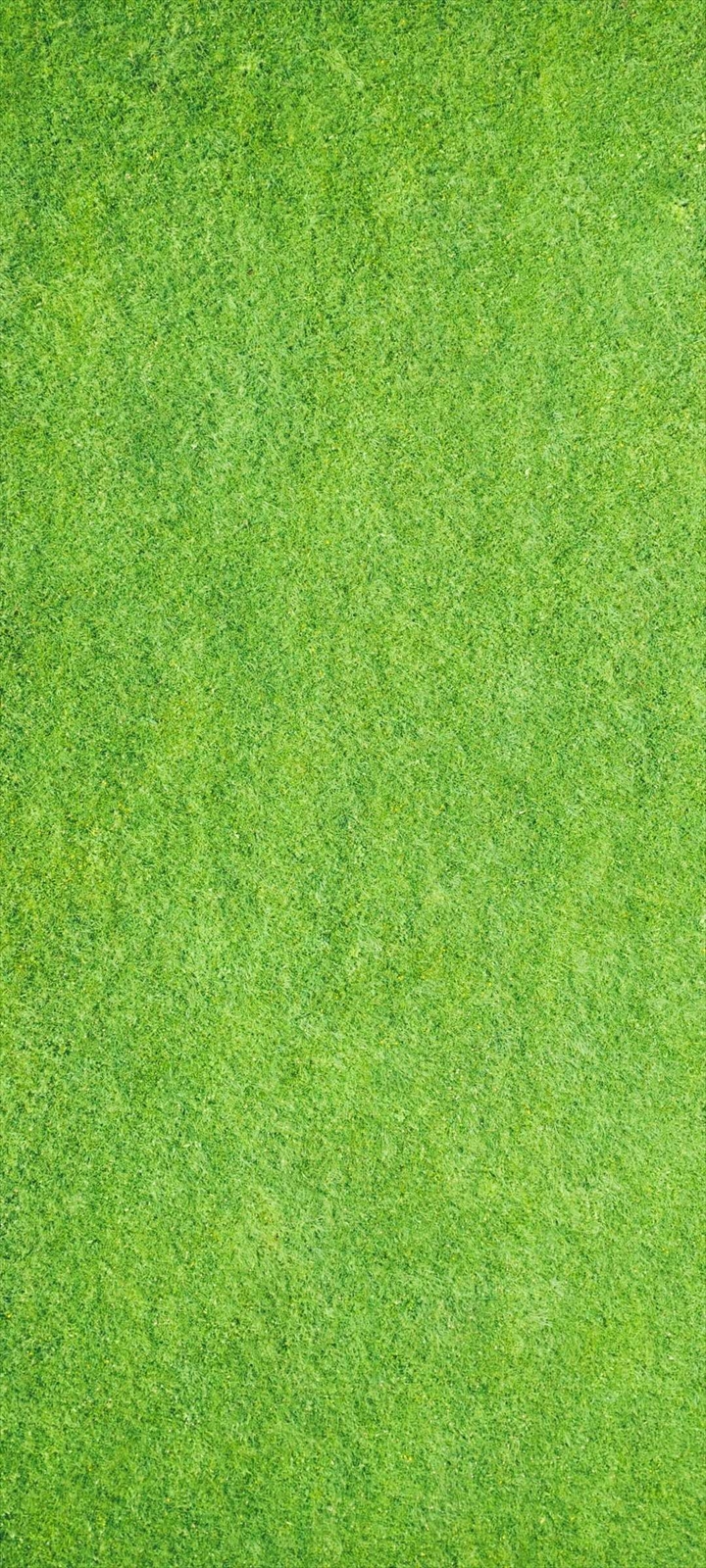 綺麗に刈り揃えられた芝生 Moto G30 Androidスマホ壁紙 待ち受け スマラン
