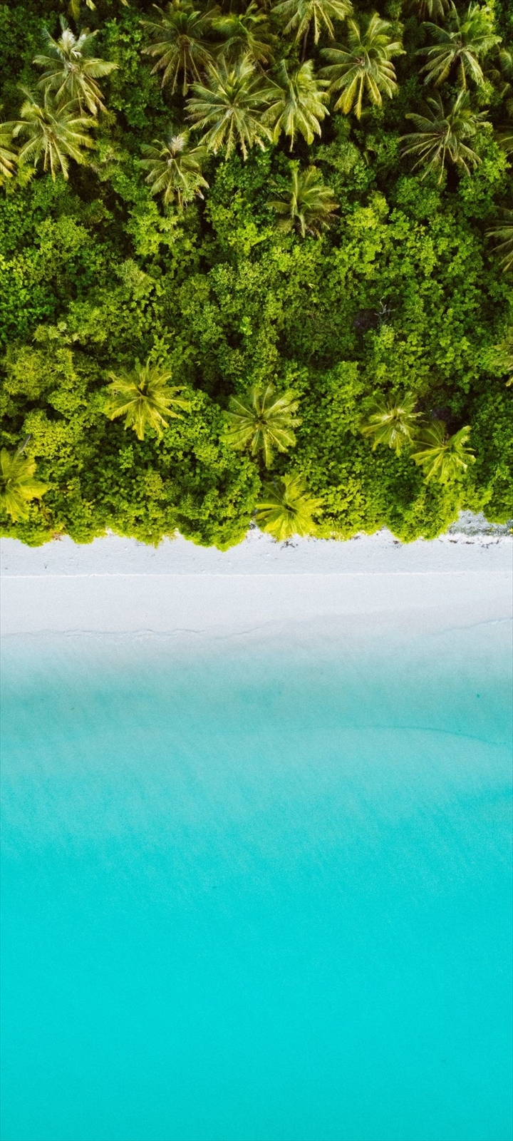 綺麗な海とジャングル Oppo A5 Androidスマホ壁紙 待ち受け スマラン