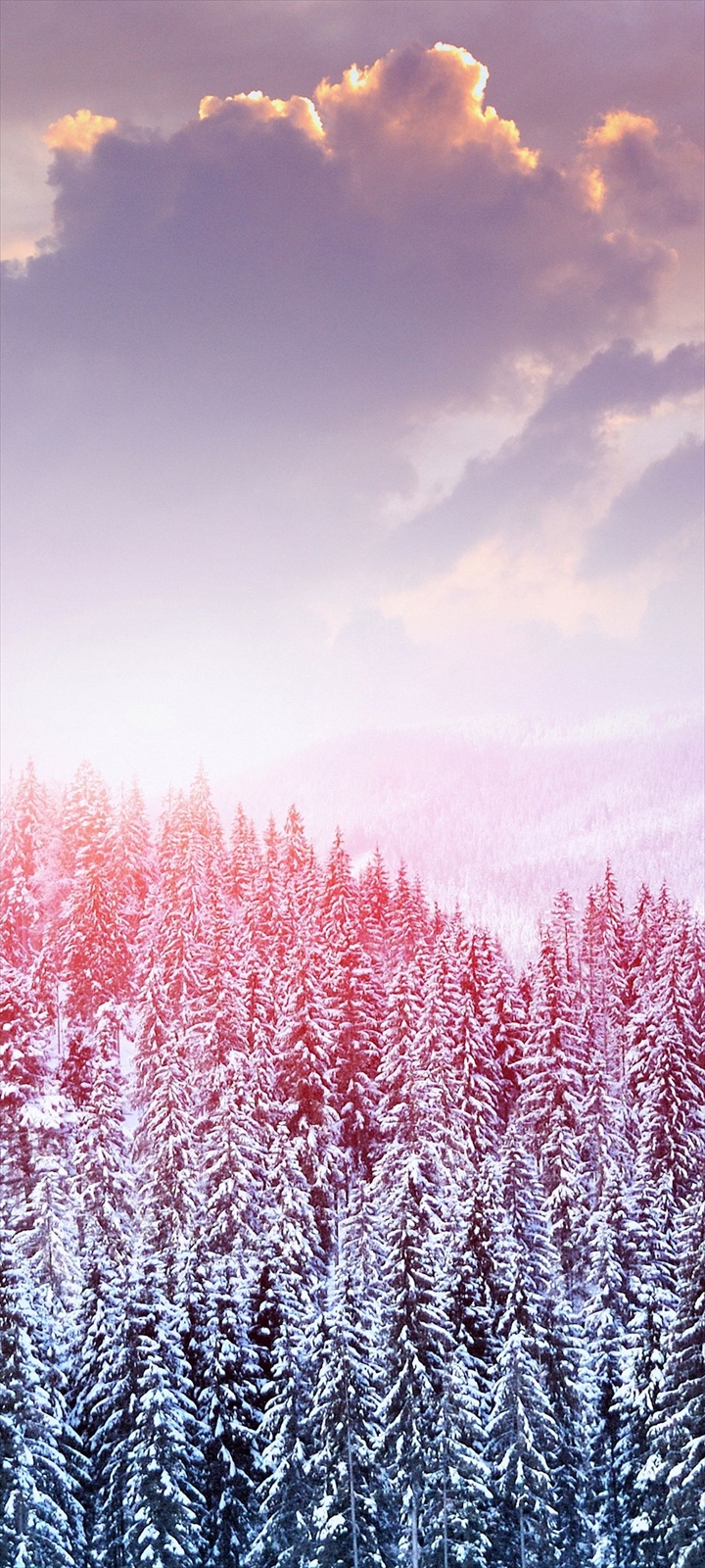 雪景色 針葉樹 白い雲 Galaxy A32 5g Androidスマホ壁紙 待ち受け スマラン