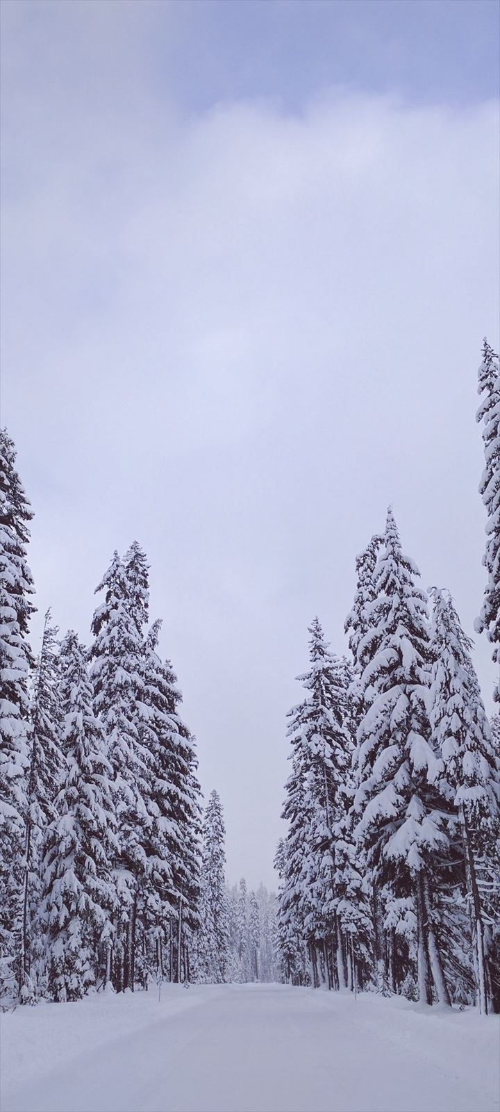 雪に覆われた風景 Moto G30 Androidスマホ壁紙 待ち受け スマラン