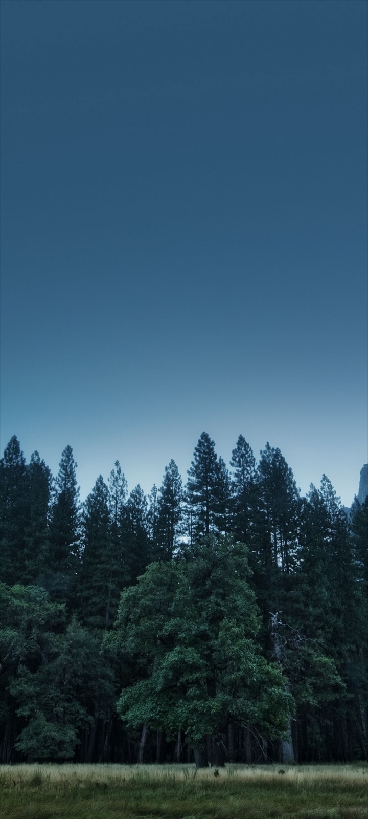 暗く青い山 森林 Moto E7 Power Androidスマホ壁紙 待ち受け スマラン