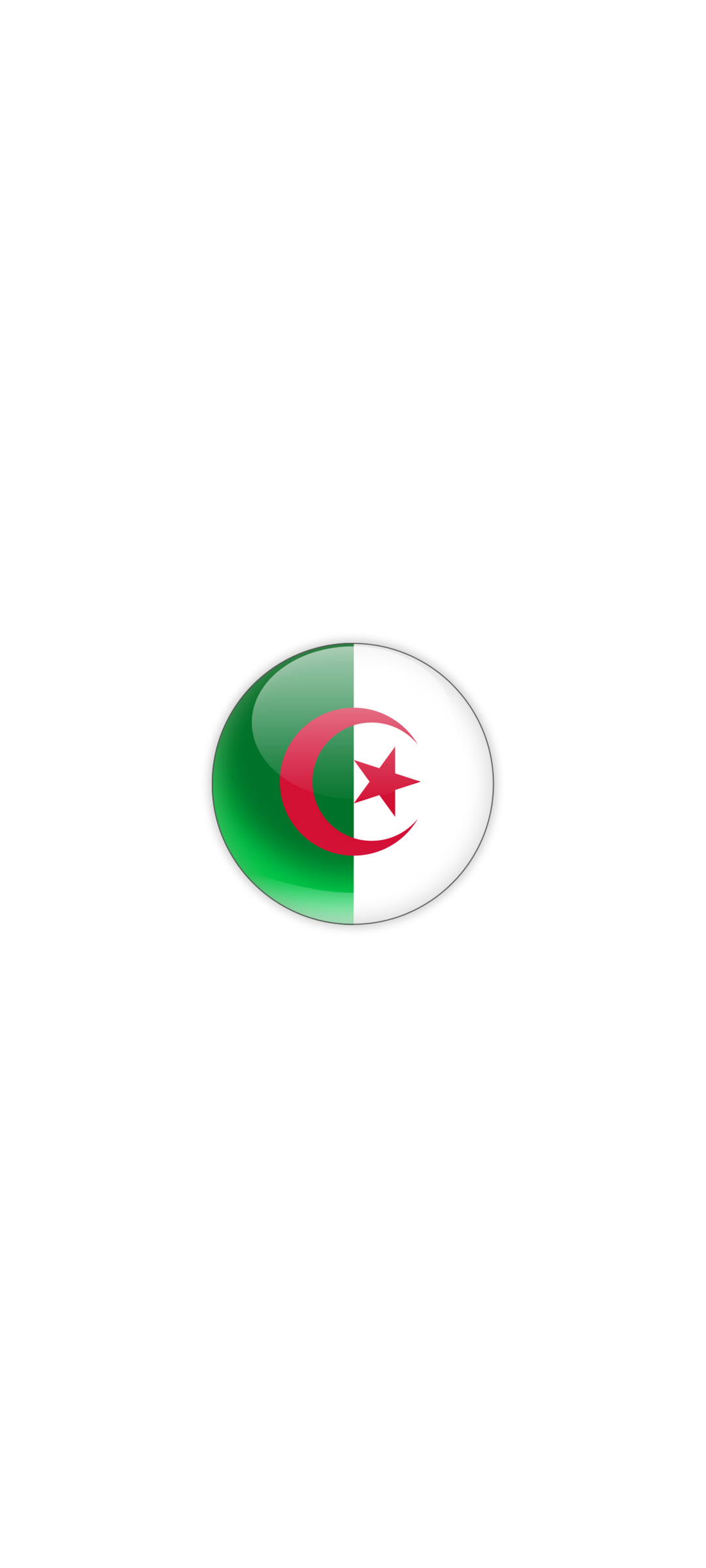 アルジェリア 国旗 HUAWEI P40 lite 5G 壁紙・待ち受け