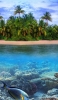 📱Palm tree island tropical fish sea turtle iPhone 12 mini 壁紙・待ち受け
